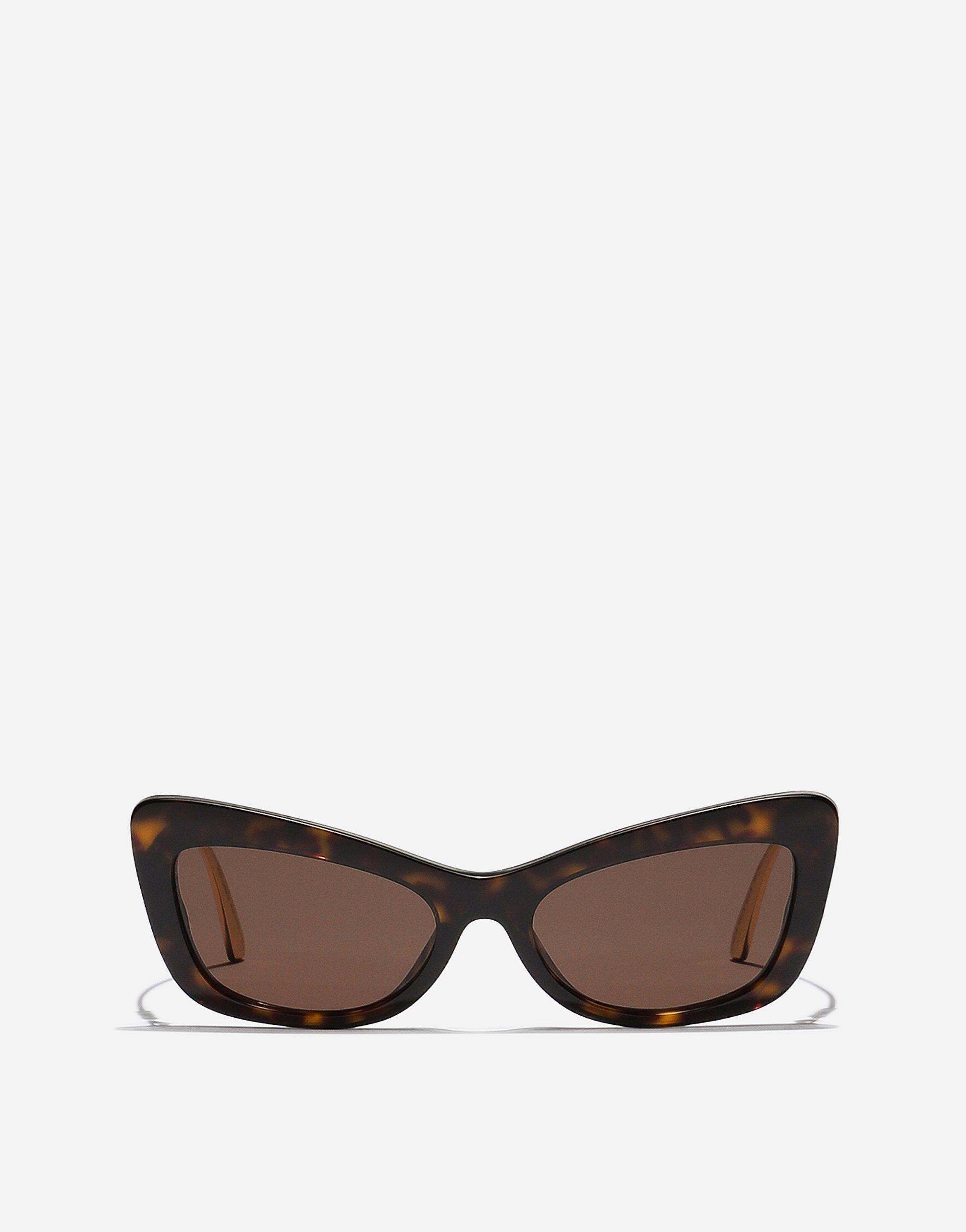 DOLCE & GABBANA Dg Crystal Sunglasses In Brown Product Image