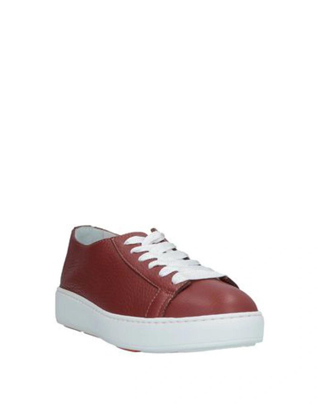 SANTONI Sneakers In Brown Product Image