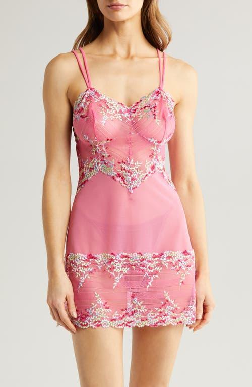 Embrace Lace Chemise Product Image