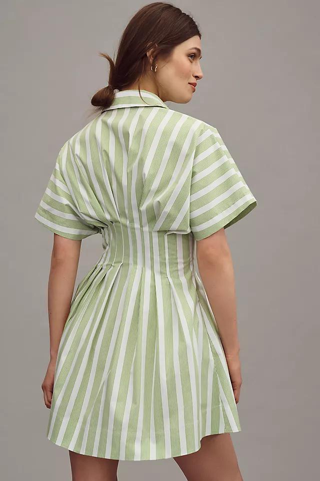 The Tobie Button-Front Pleated Shirt Dress by Exquise: Mini Edition Product Image