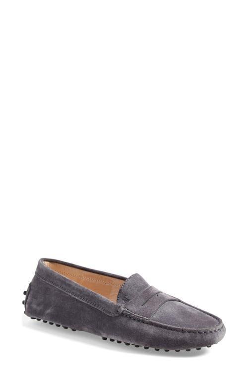 Suede Driver Penny Loafers Product Image