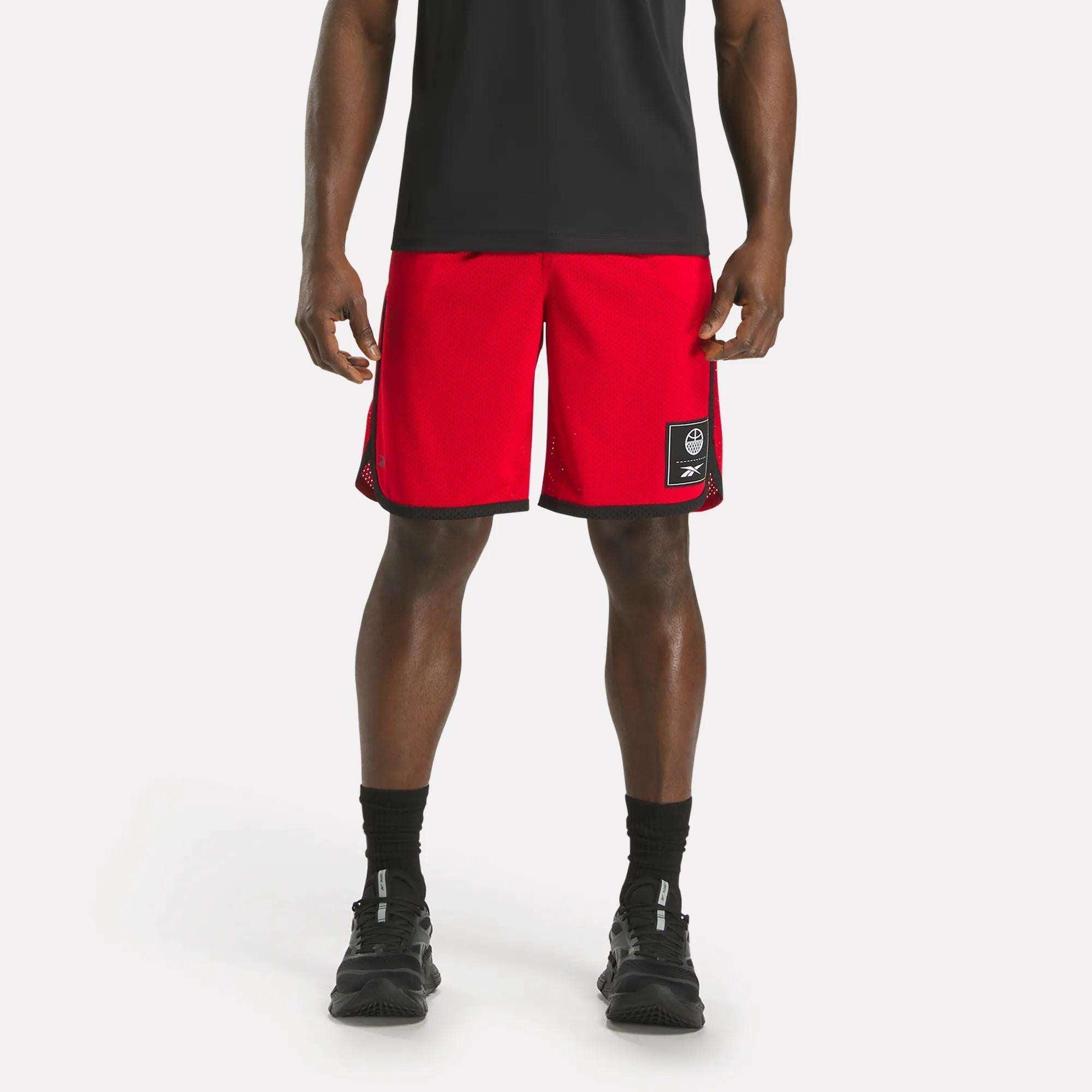 Men's Basketball Mesh Shorts Male Product Image