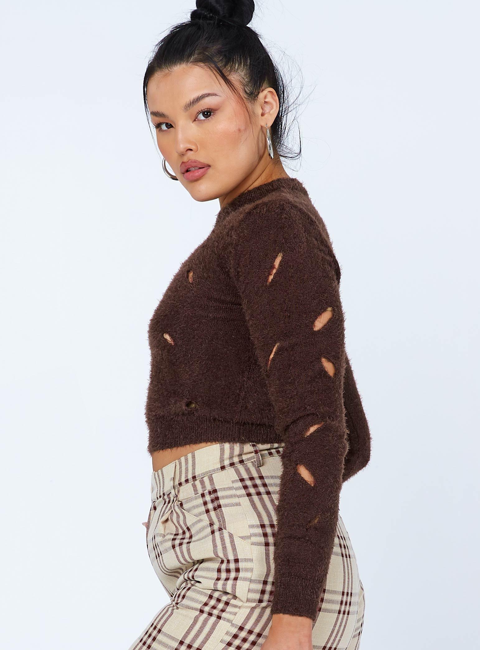 Astrella Sweater/Jumper Brown Product Image