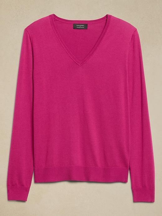 Forever V-Neck Sweater Product Image