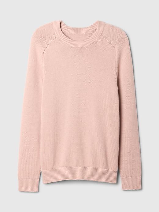 Raglan Crewneck Sweater Product Image