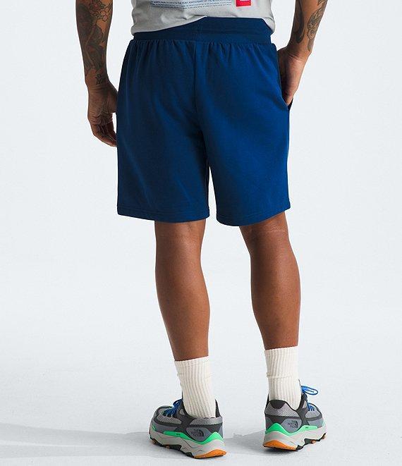 The North Face Box NSE Regular Shorts Product Image