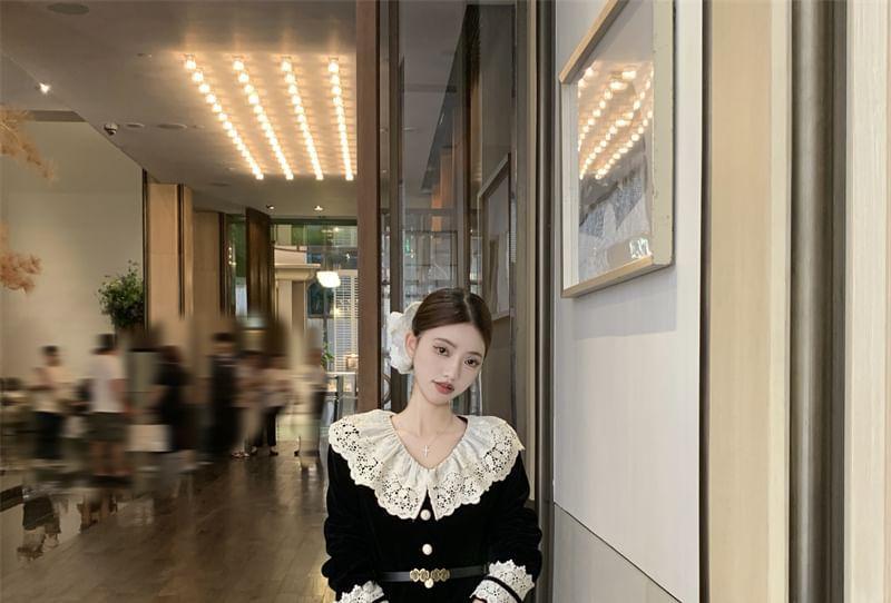 Long-Sleeve Ruffle Collar Two Tone Lace Panel Button-Up Velvet Crop Blouse / High Waist Maxi A-Line Skirt / Belt / Set Product Image