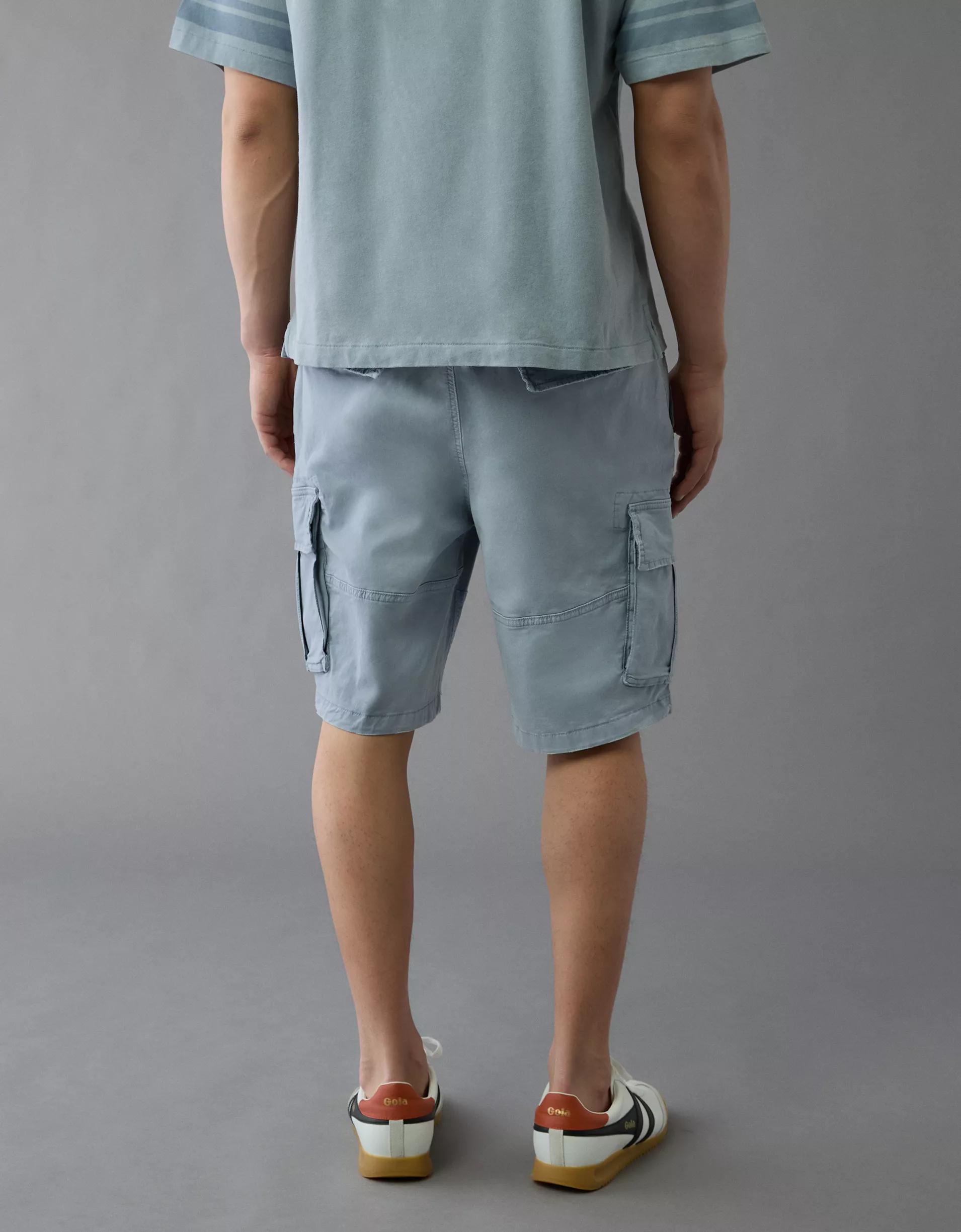 AE 10" Flex Lived-In Cargo Short Product Image