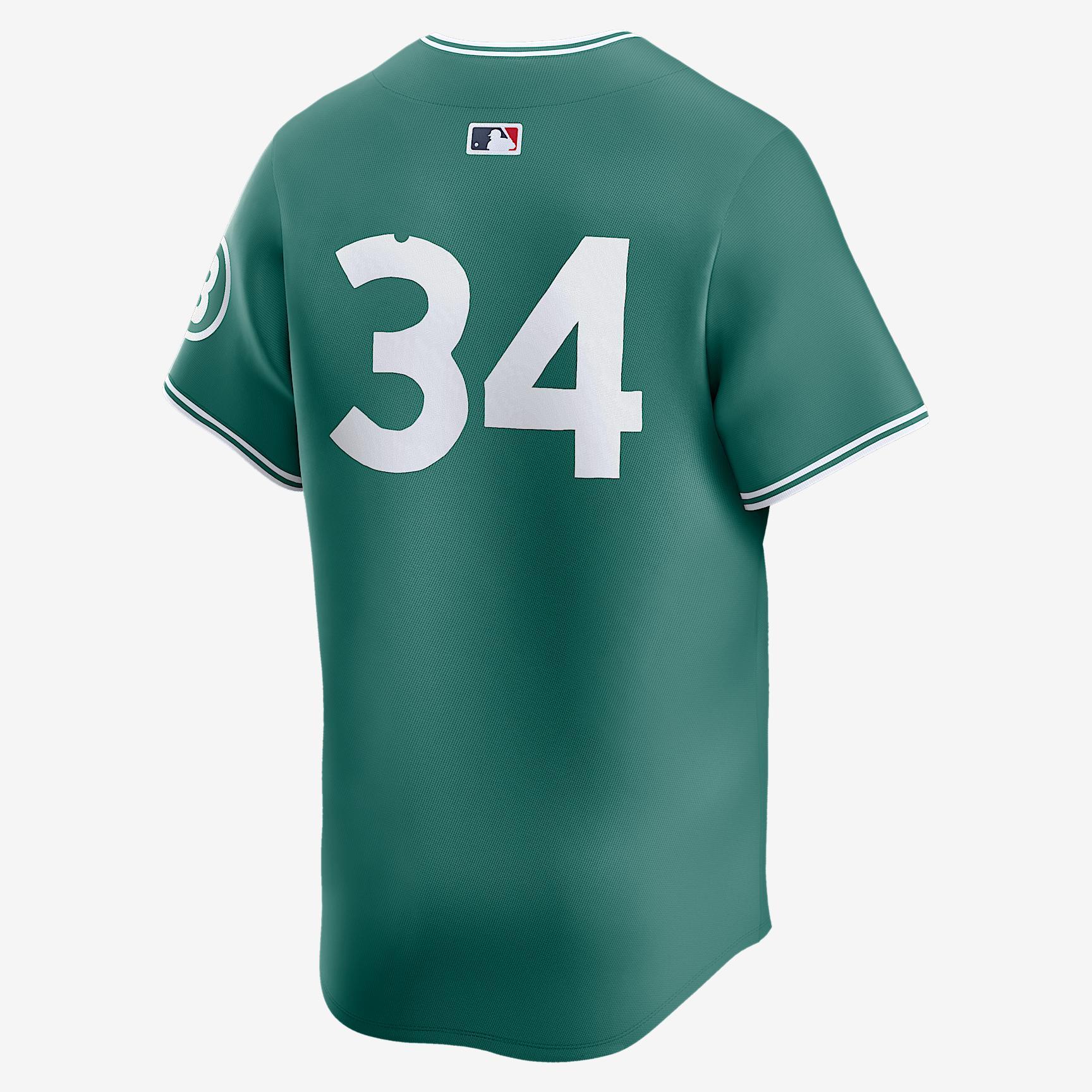 David Ortiz Boston Red Sox City Connect Men’s Nike Dri-FIT ADV MLB Limited Jersey Product Image