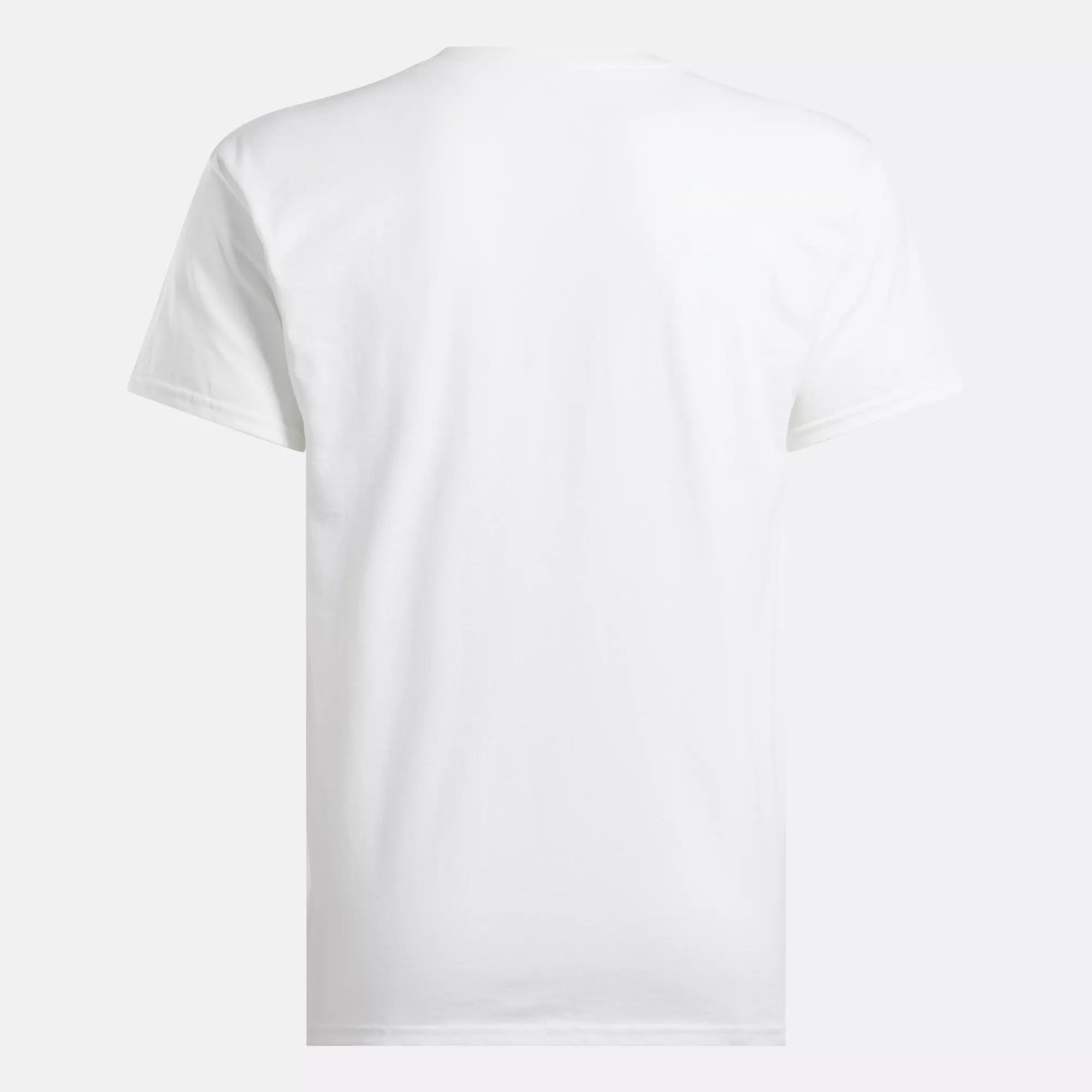 Men's Laurel & Varsity Tee Male Product Image