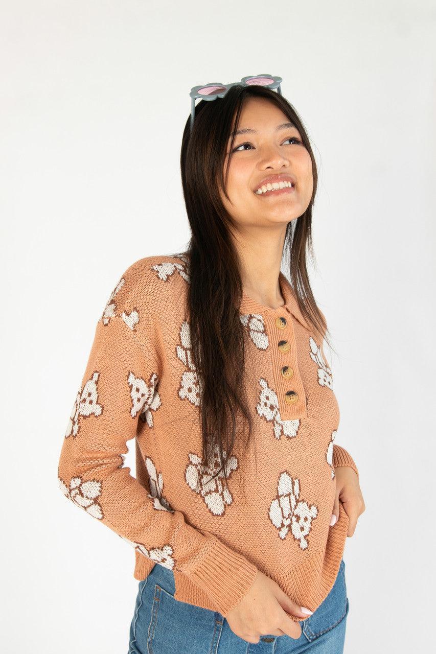 Teddy Bear Henley Sweater Product Image