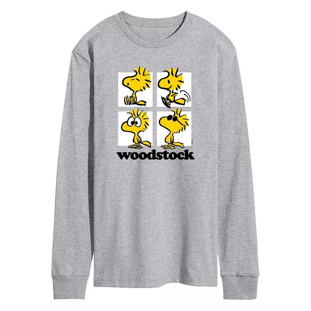 Men's Peanuts Woostock Grid Long Sleeve, Size: Medium, Grey Gray Product Image