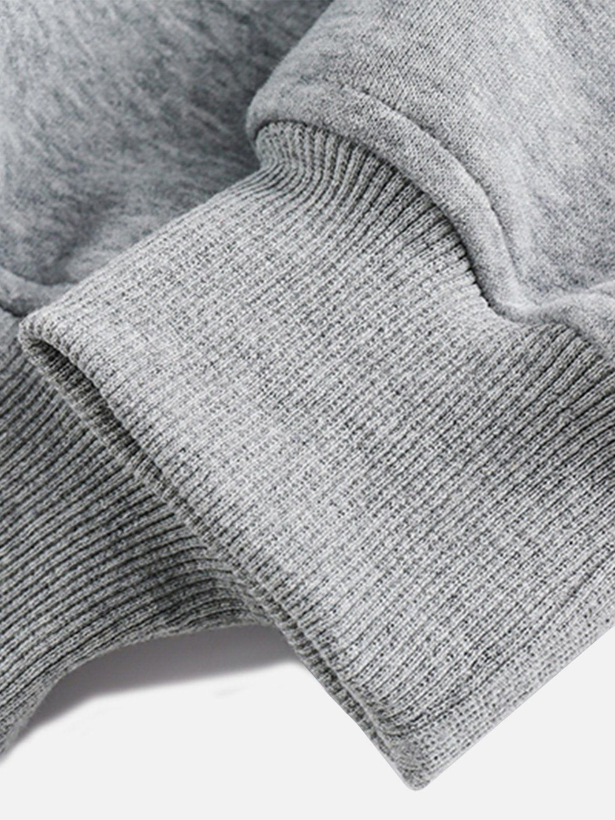 Aelfric Eden Leopard Graphic Pocket Sweatshirt Product Image