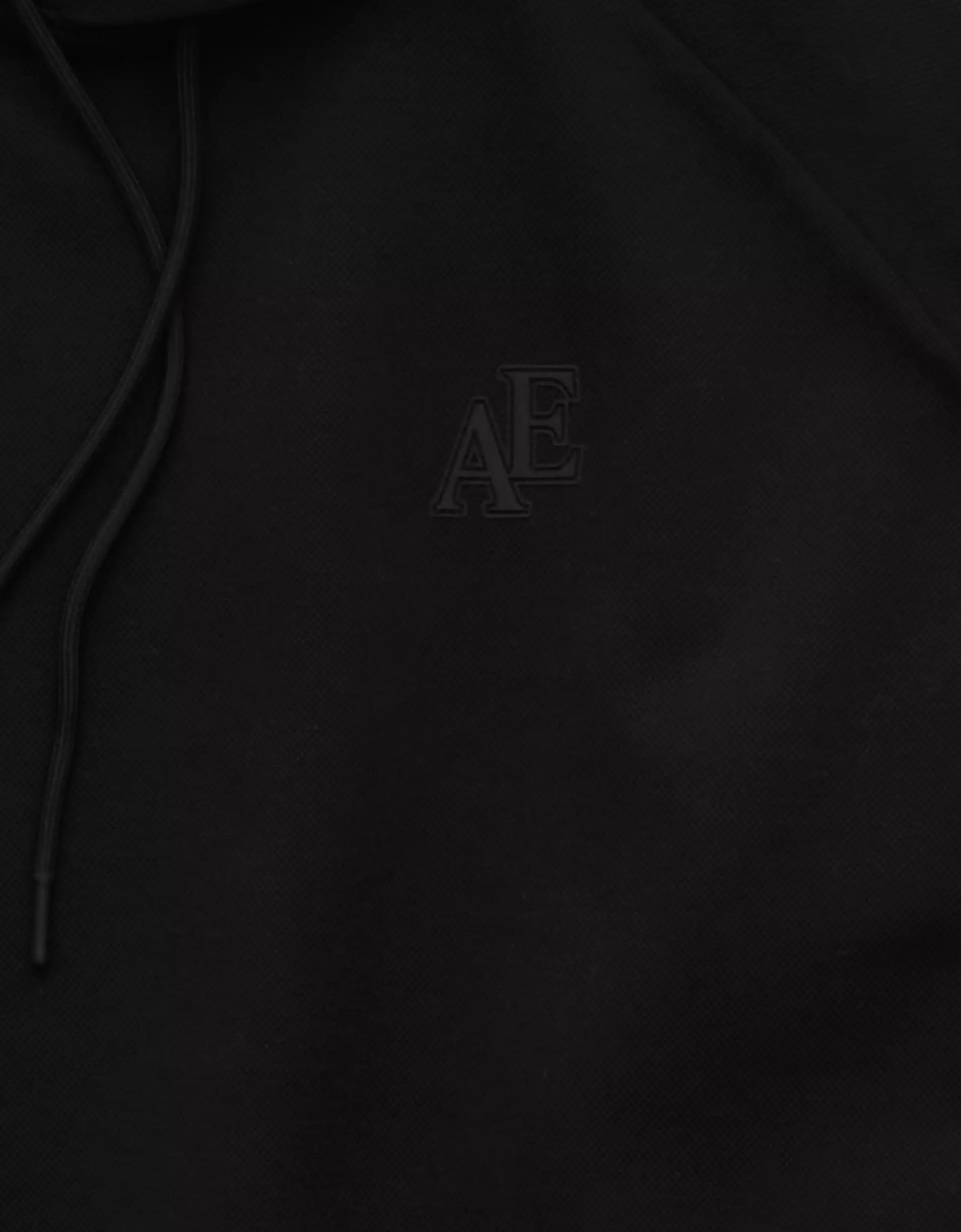 AE 24/7 Pique Hoodie Product Image