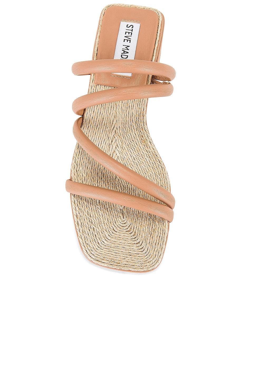 Citizen Sandal Steve Madden Product Image