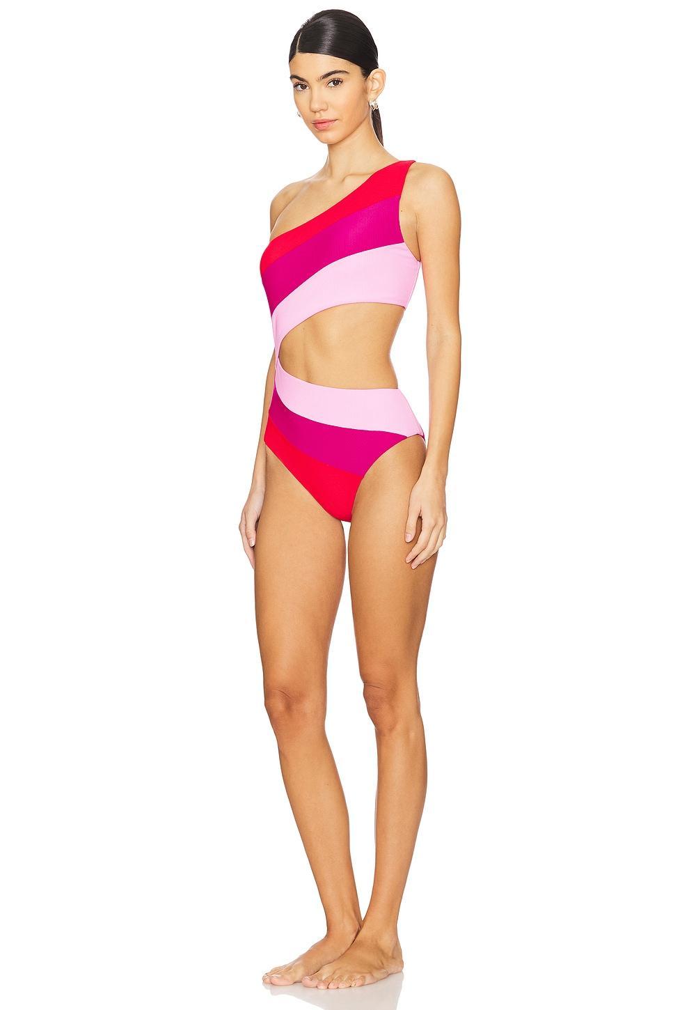 Joyce One Piece BEACH RIOT Product Image