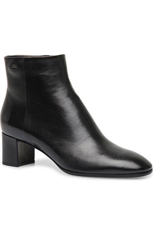 SANTONI Halfrida Napa Zip Ankle Booties In Black Product Image