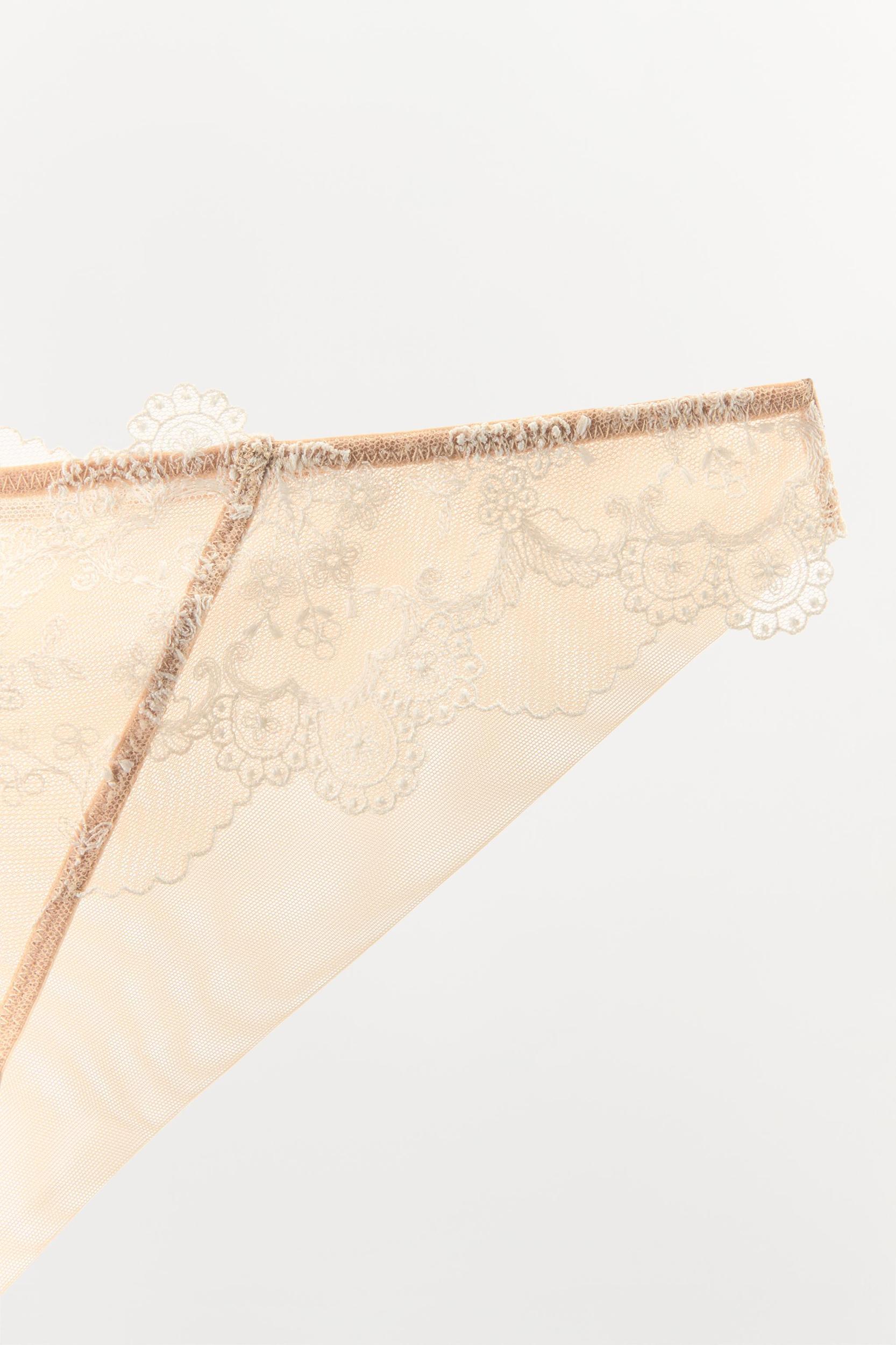 EMBROIDERED MESH PANTIES Product Image