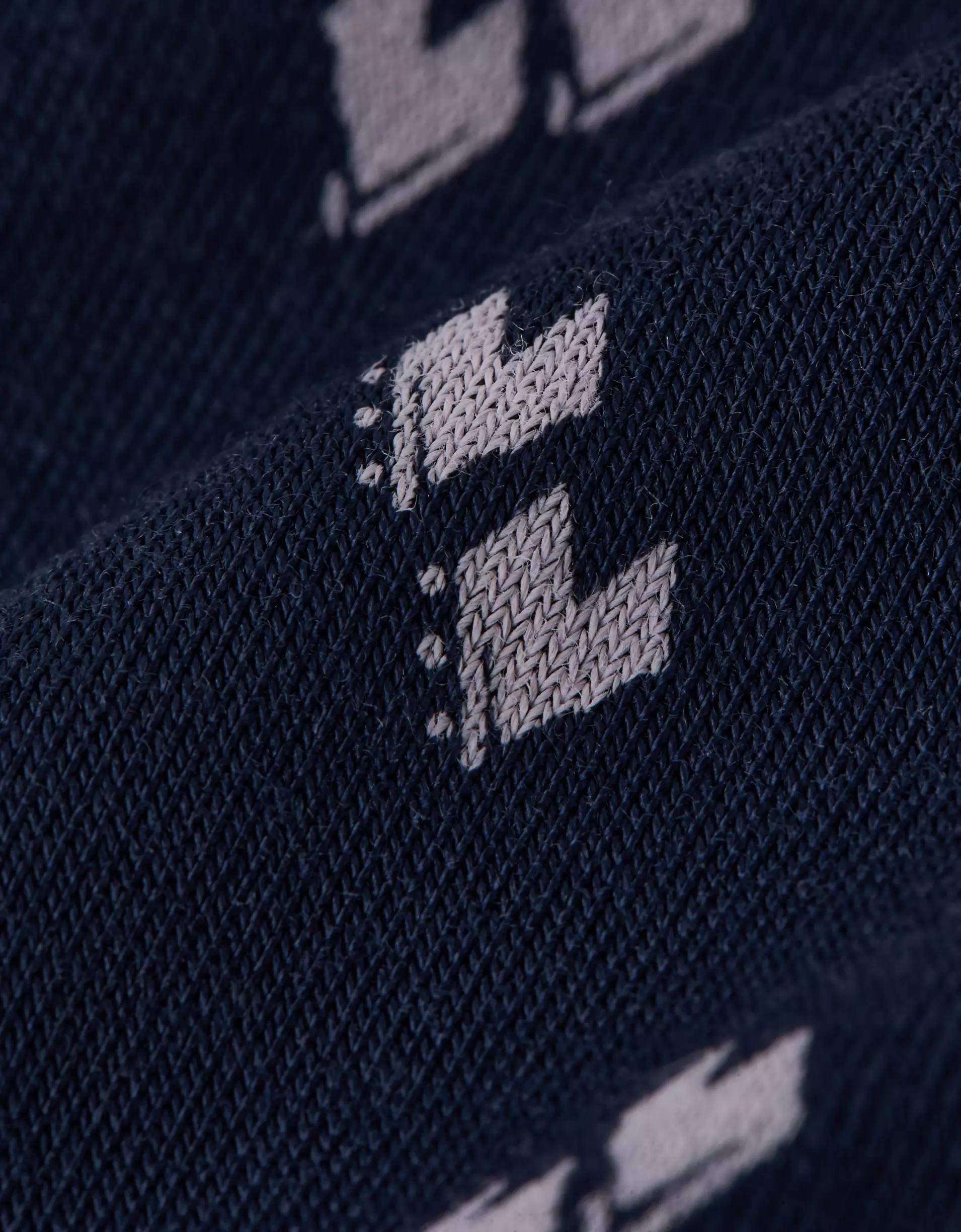 AEO Men's Bird Eye 4.5" Ultra Soft Boxer Brief Product Image