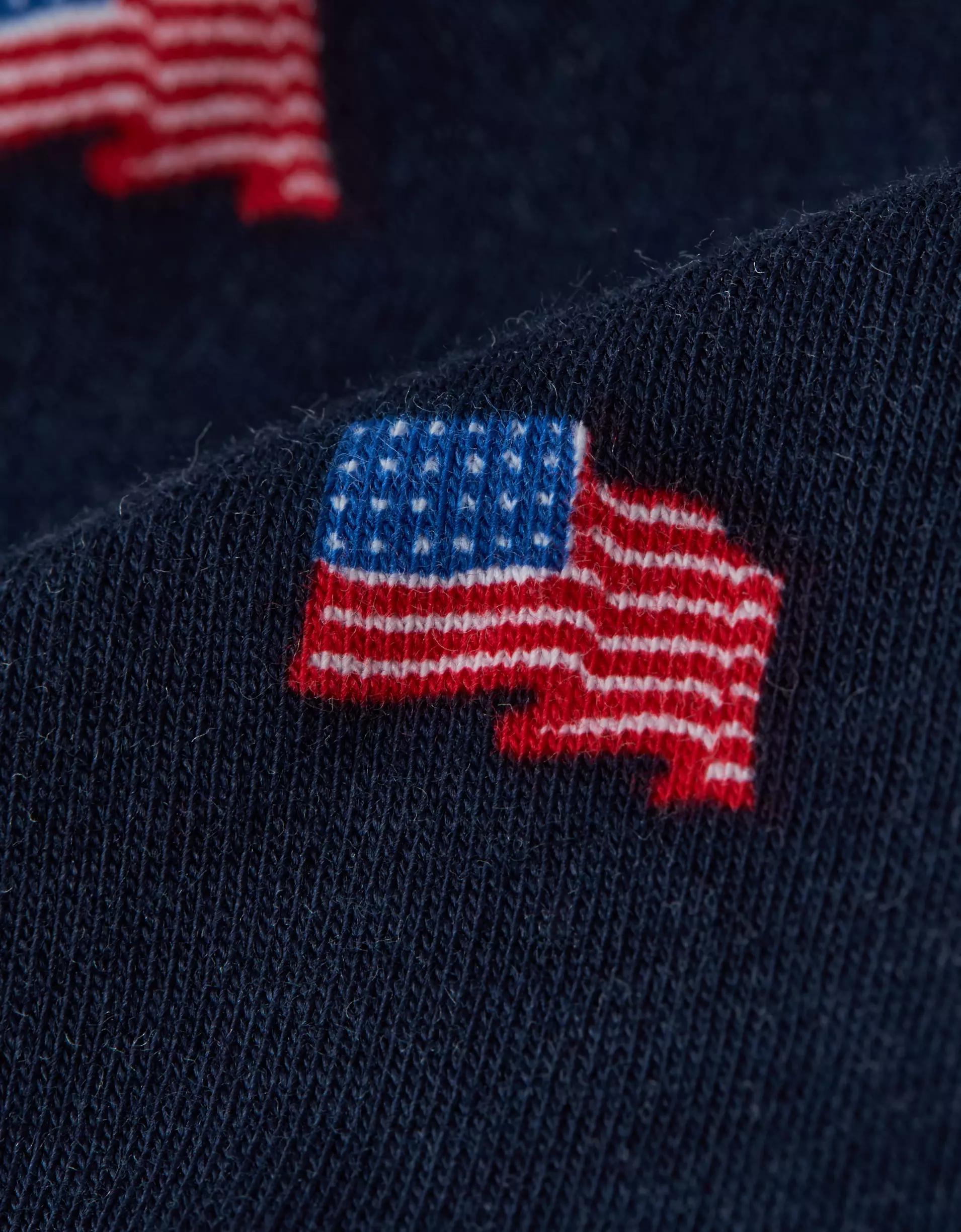 AEO Men's USA 6" Classic Boxer Brief Product Image