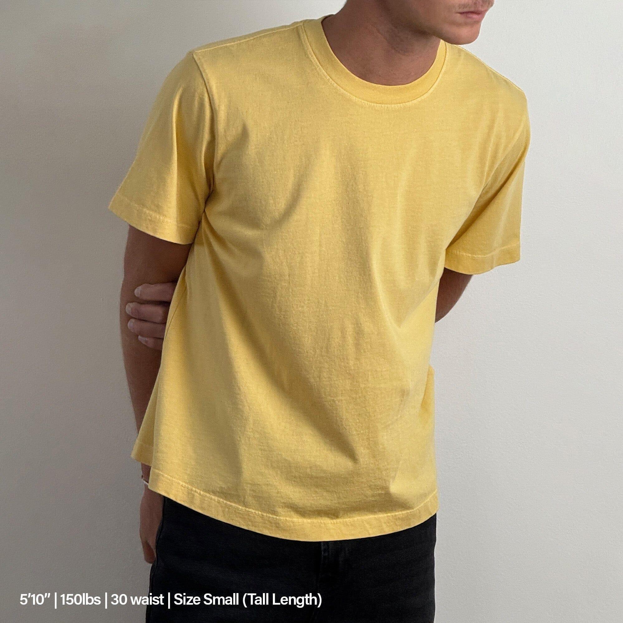 Silverlake Crop Tee II Product Image