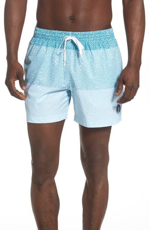 Chubbies Family Matching The Whale Sharks 5.5 Inseam Stretch Swim Trunks Product Image