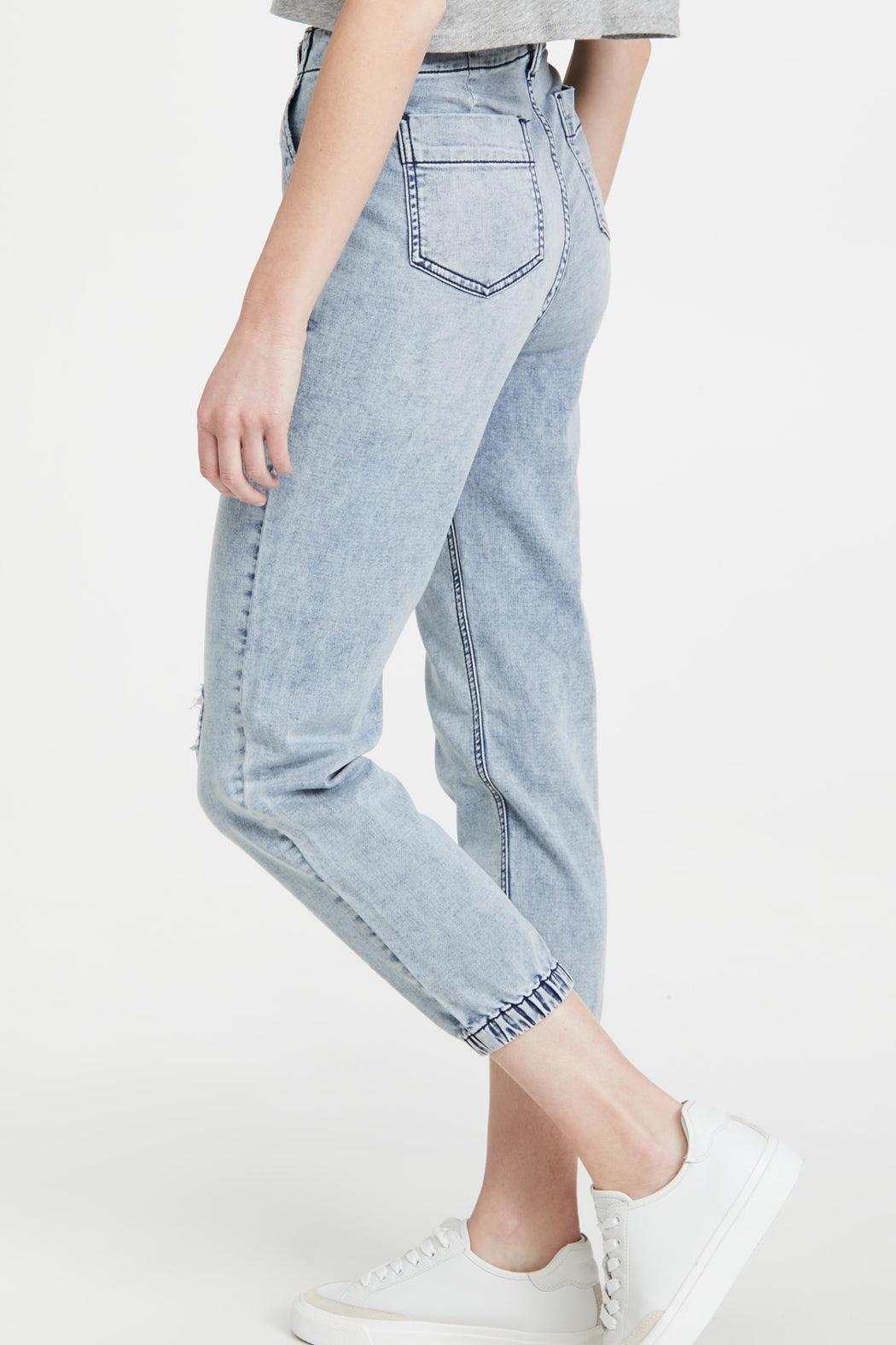 French Terry Jogger Iris Product Image