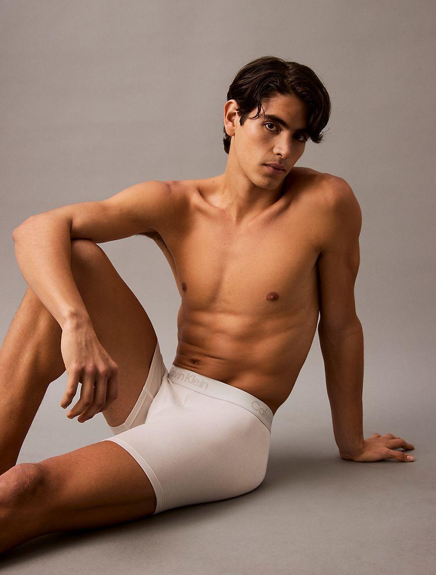 Ultra Soft Modal 3-Pack Boxer Brief Product Image