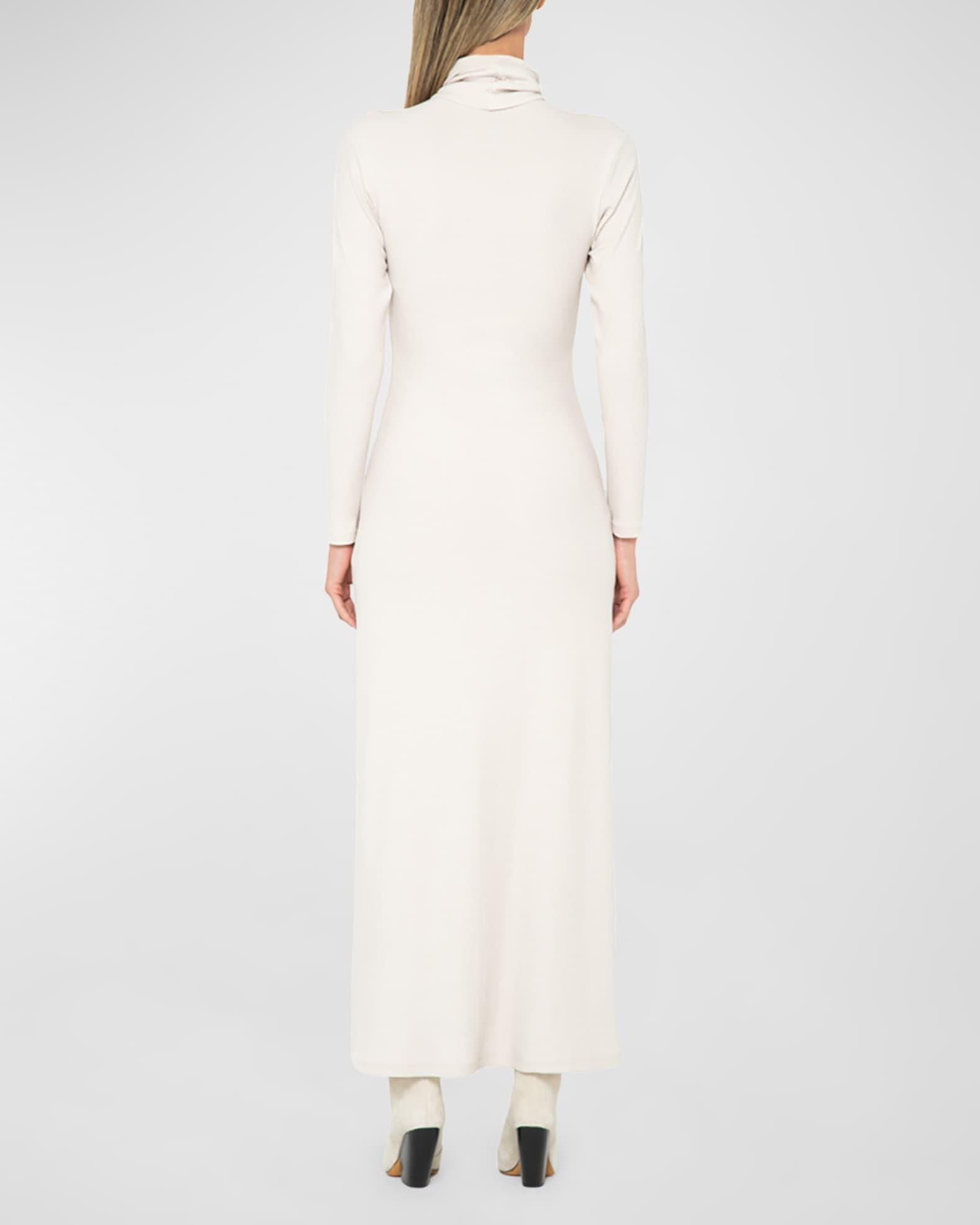 Miranda Turtleneck Maxi Dress Product Image