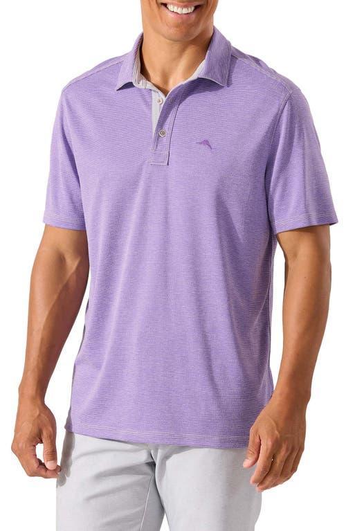 Tommy Bahama Paradise Cove Short Sleeve Polo Shirt Product Image