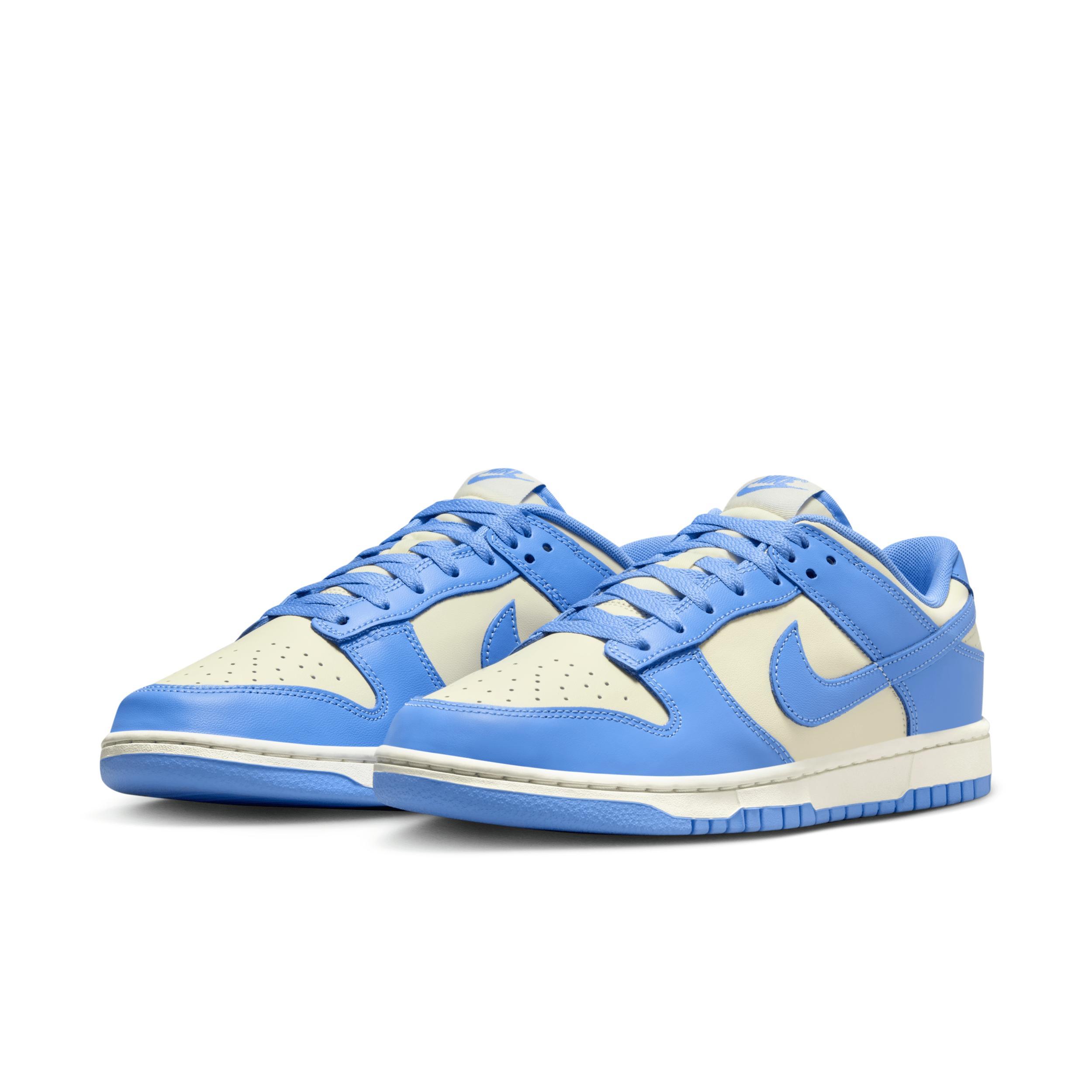 Nike Dunk Low Retro Men's Shoes Product Image