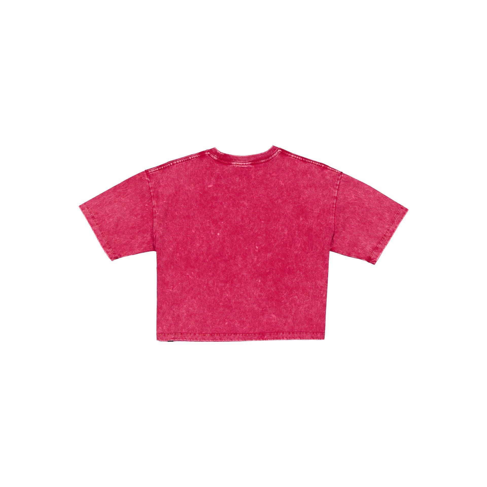 Pittsburgh Steelers Sport Classics Women's Cropped T-Shirt Female Product Image