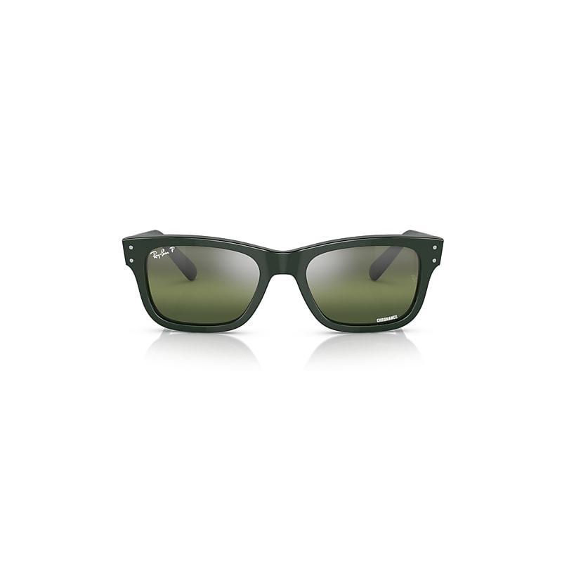 Ray-Ban Burbank Sunglasses Frame Brown Lenses Product Image