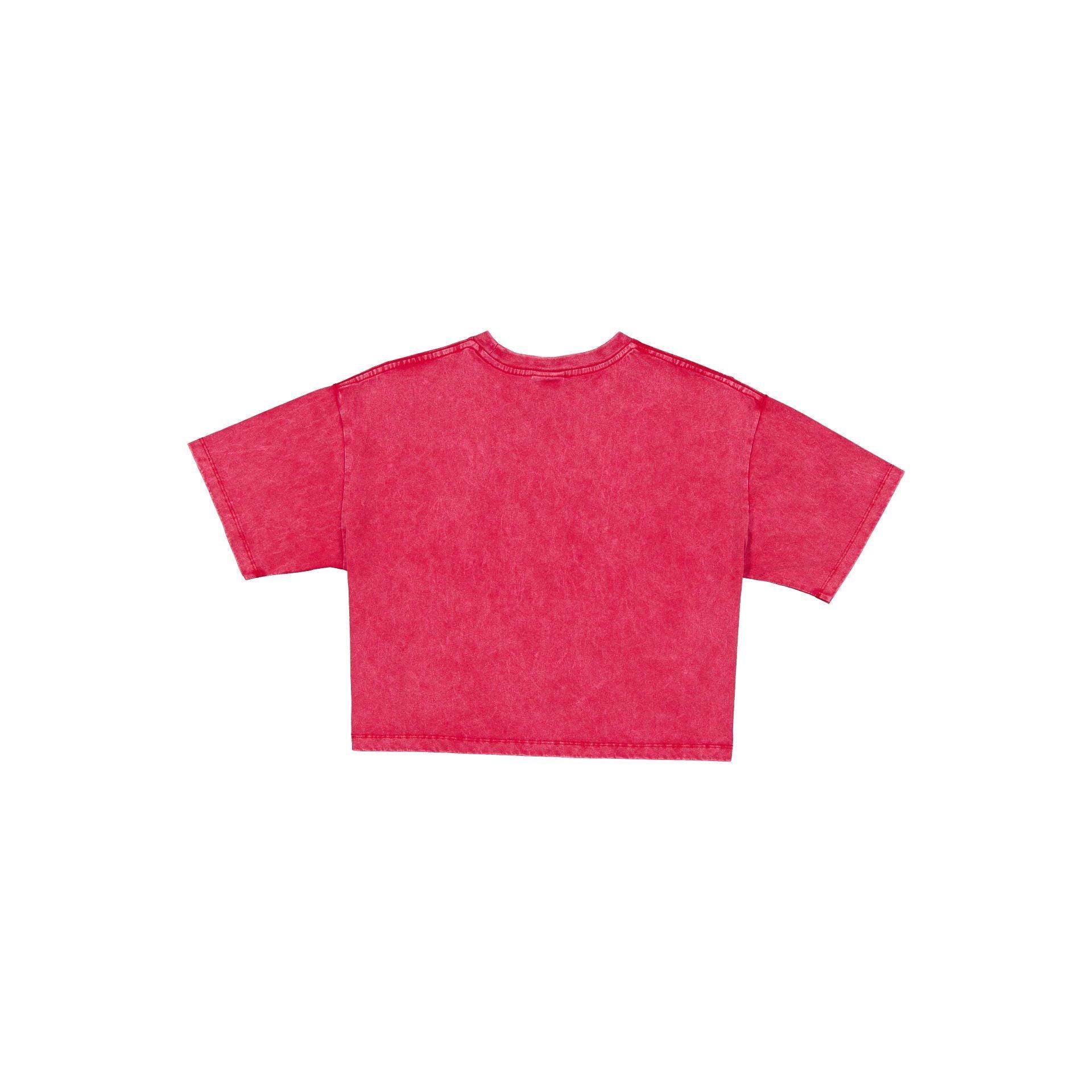 Pittsburgh Steelers Sport Classics Women's Cropped T-Shirt Female Product Image