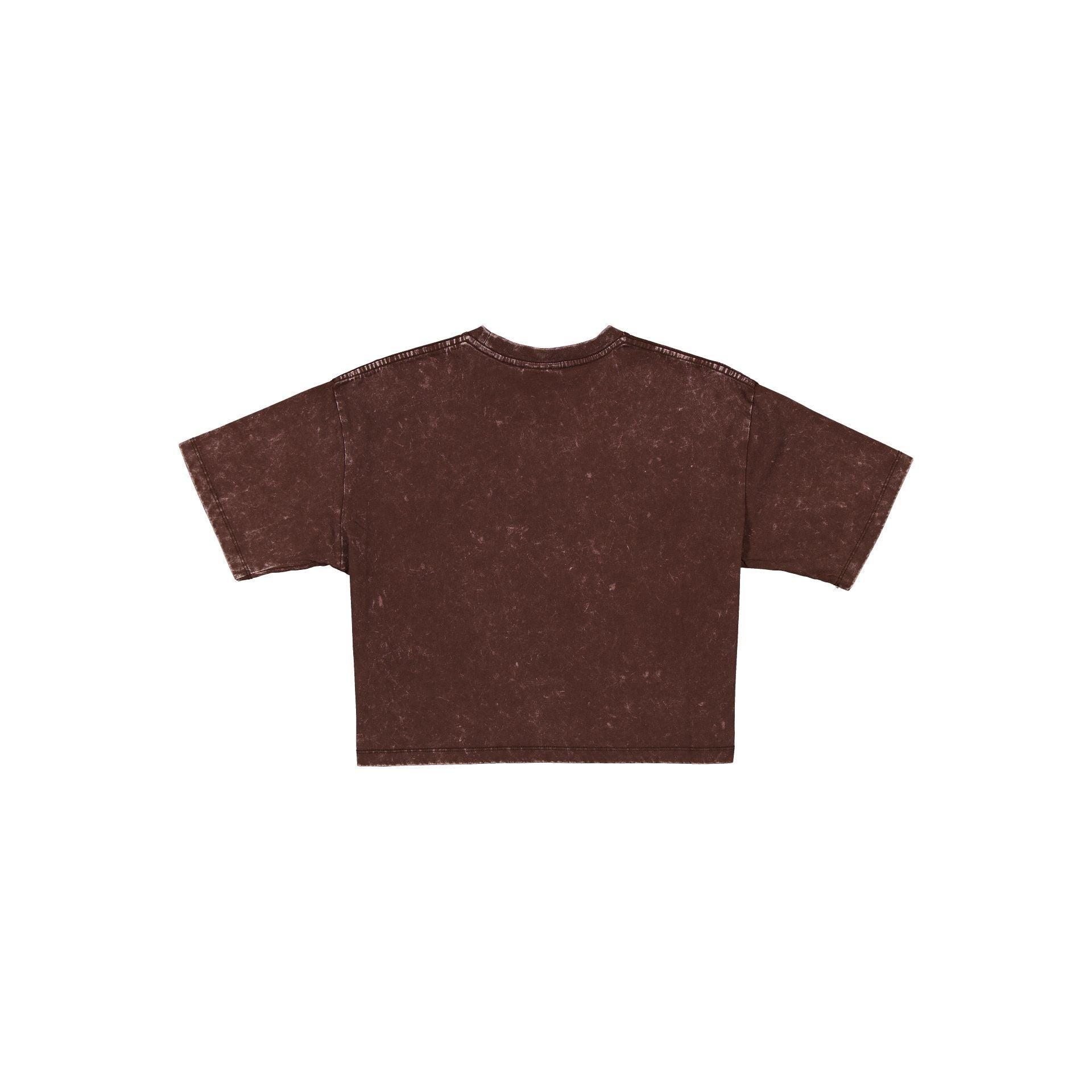 Pittsburgh Steelers Sport Classics Women's Cropped T-Shirt Female Product Image