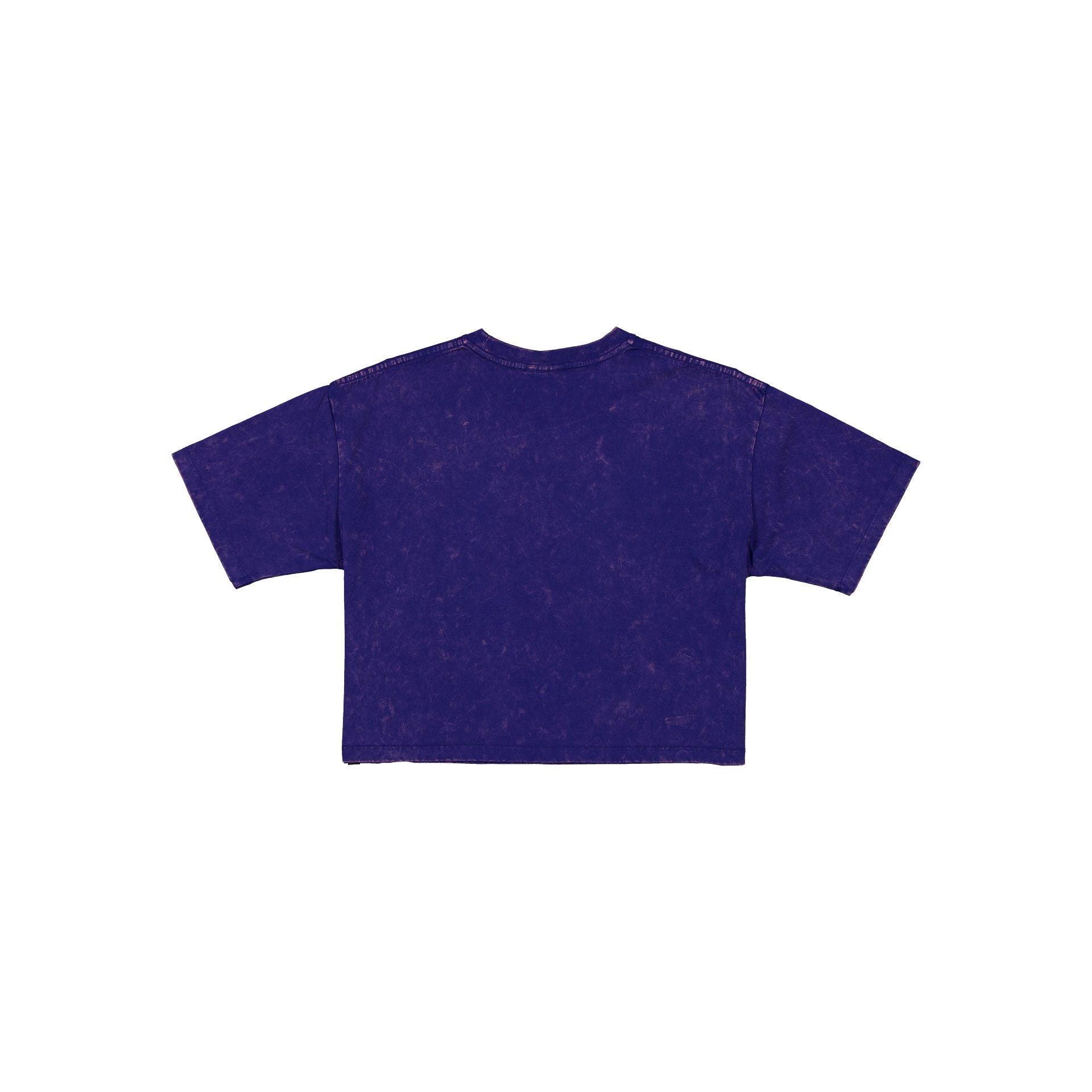 Pittsburgh Steelers Sport Classics Women's Cropped T-Shirt Female Product Image