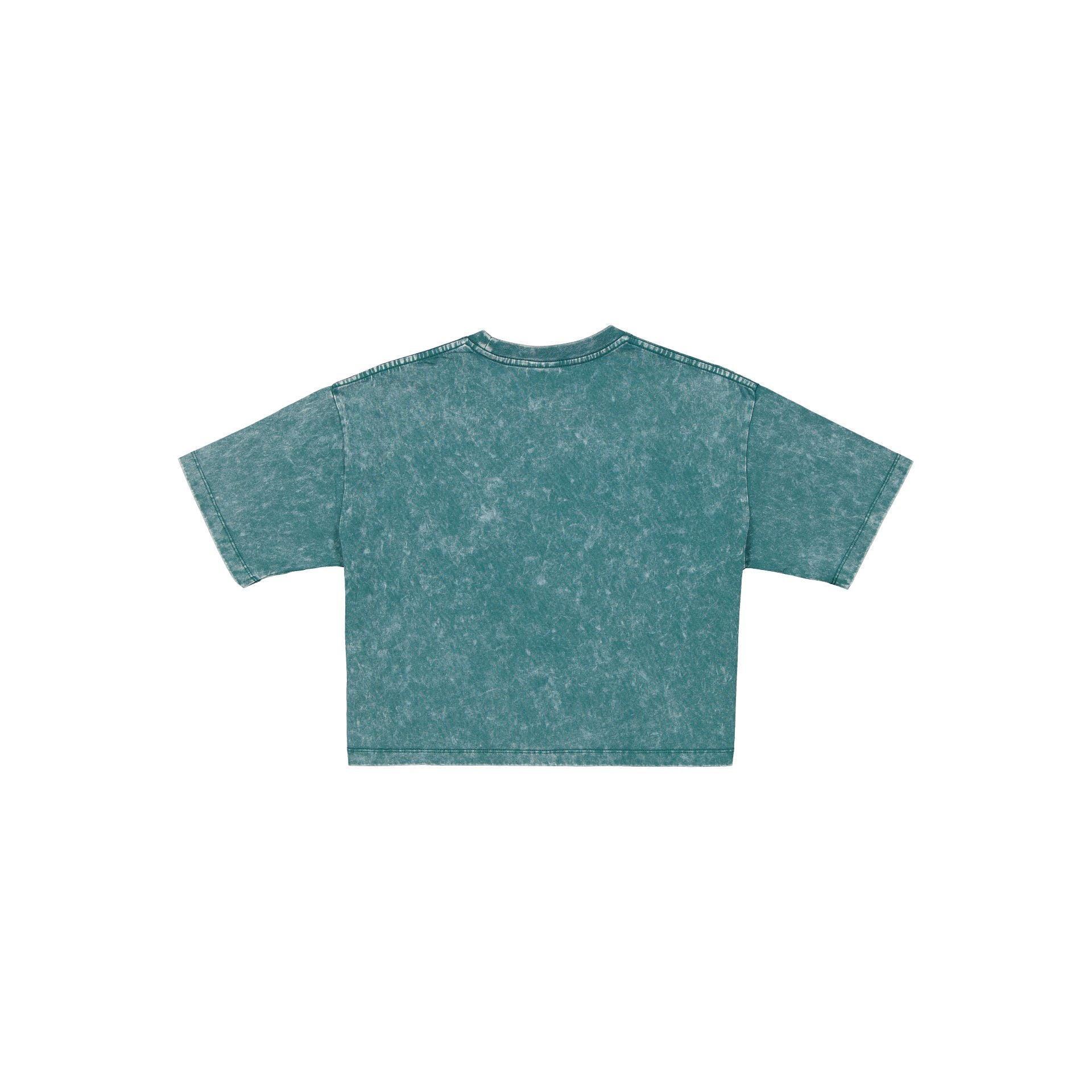 Pittsburgh Steelers Sport Classics Women's Cropped T-Shirt Female Product Image