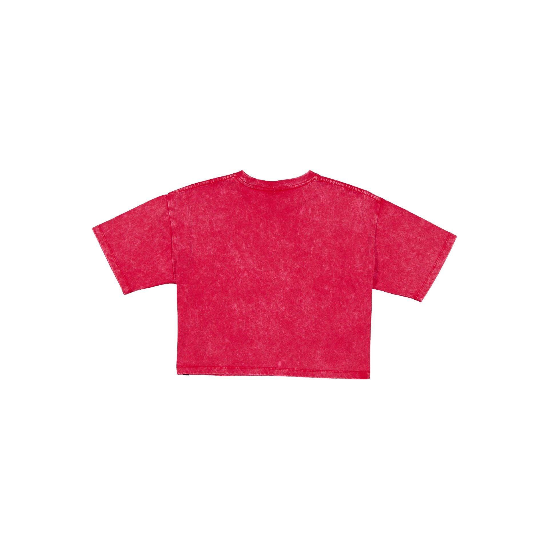 Pittsburgh Steelers Sport Classics Women's Cropped T-Shirt Female Product Image