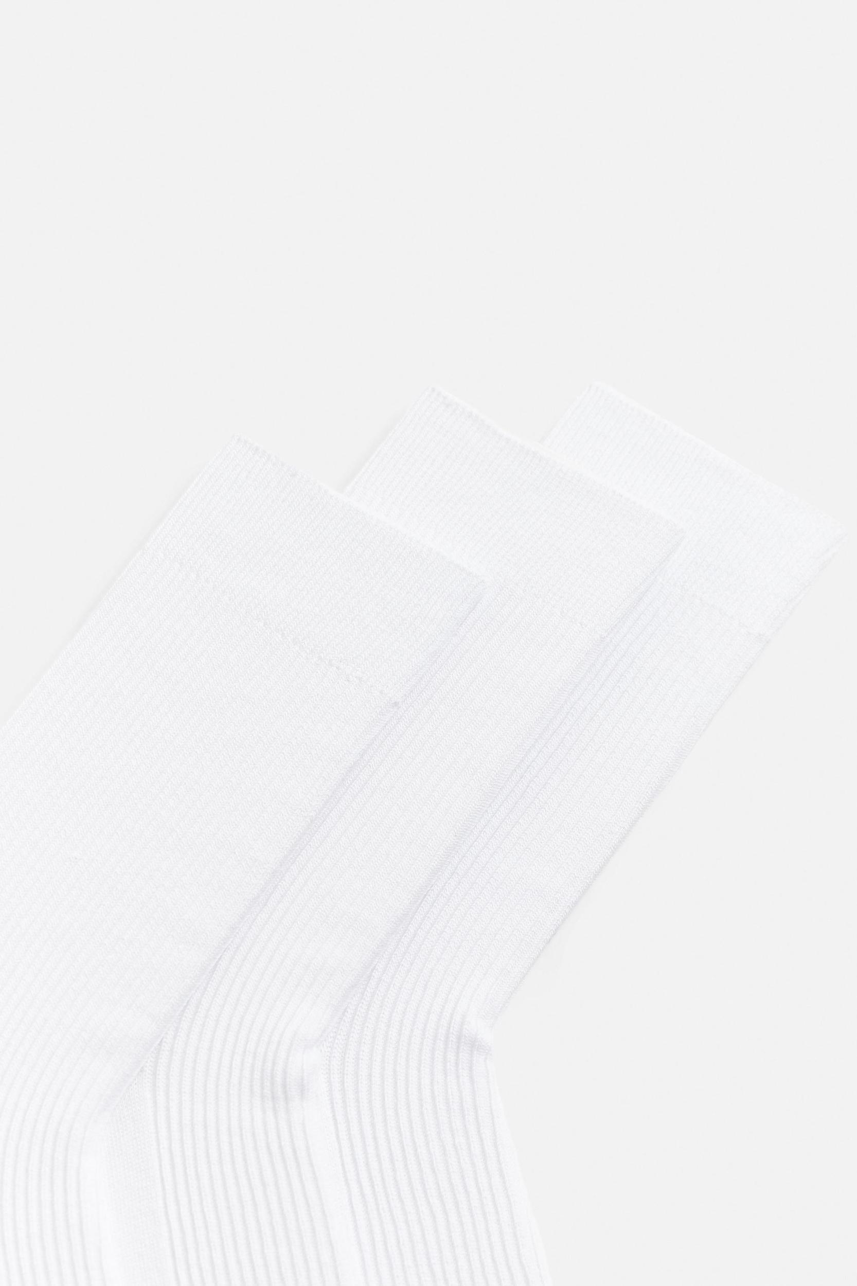 3-PACK OF RIB SOCKS Product Image