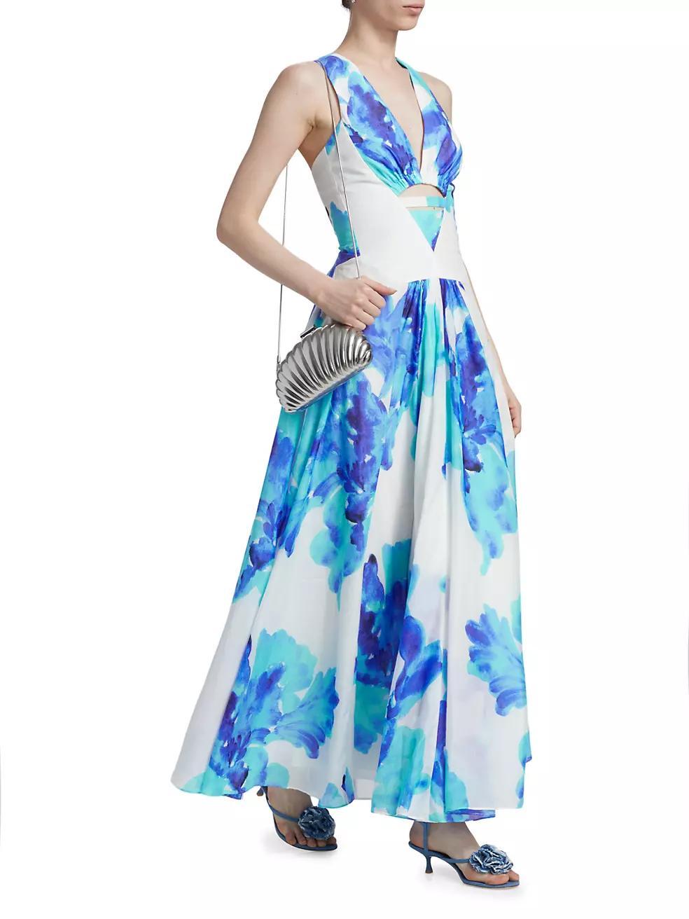 Noemi Floral Cross-Back Maxi Dress Product Image