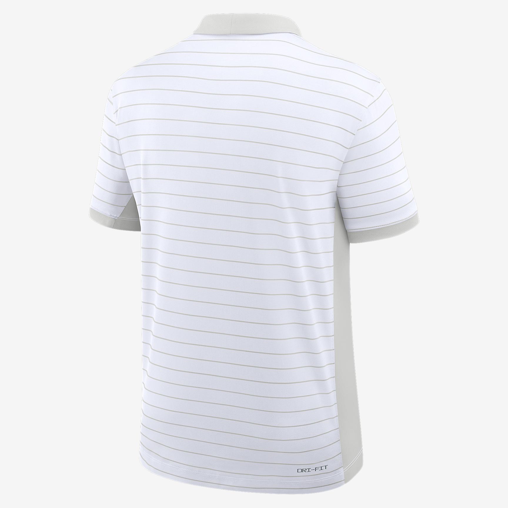 Mens Michigan Sideline Victory Stripe Jordan Brand Dri-FIT College Polo | 0JBG0CEBMWN-FR1 Product Image