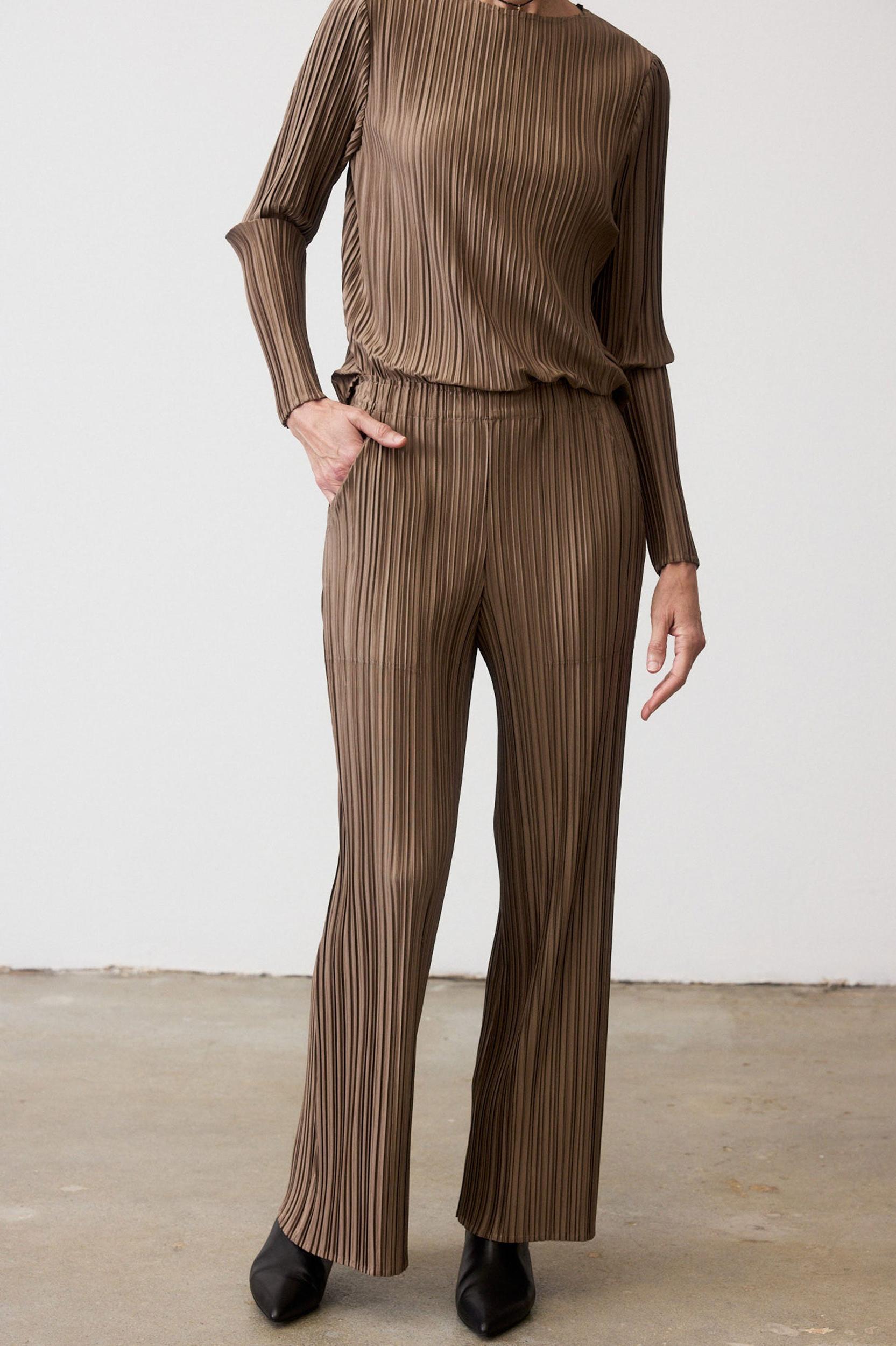 Relaxed Pleated Pants Product Image