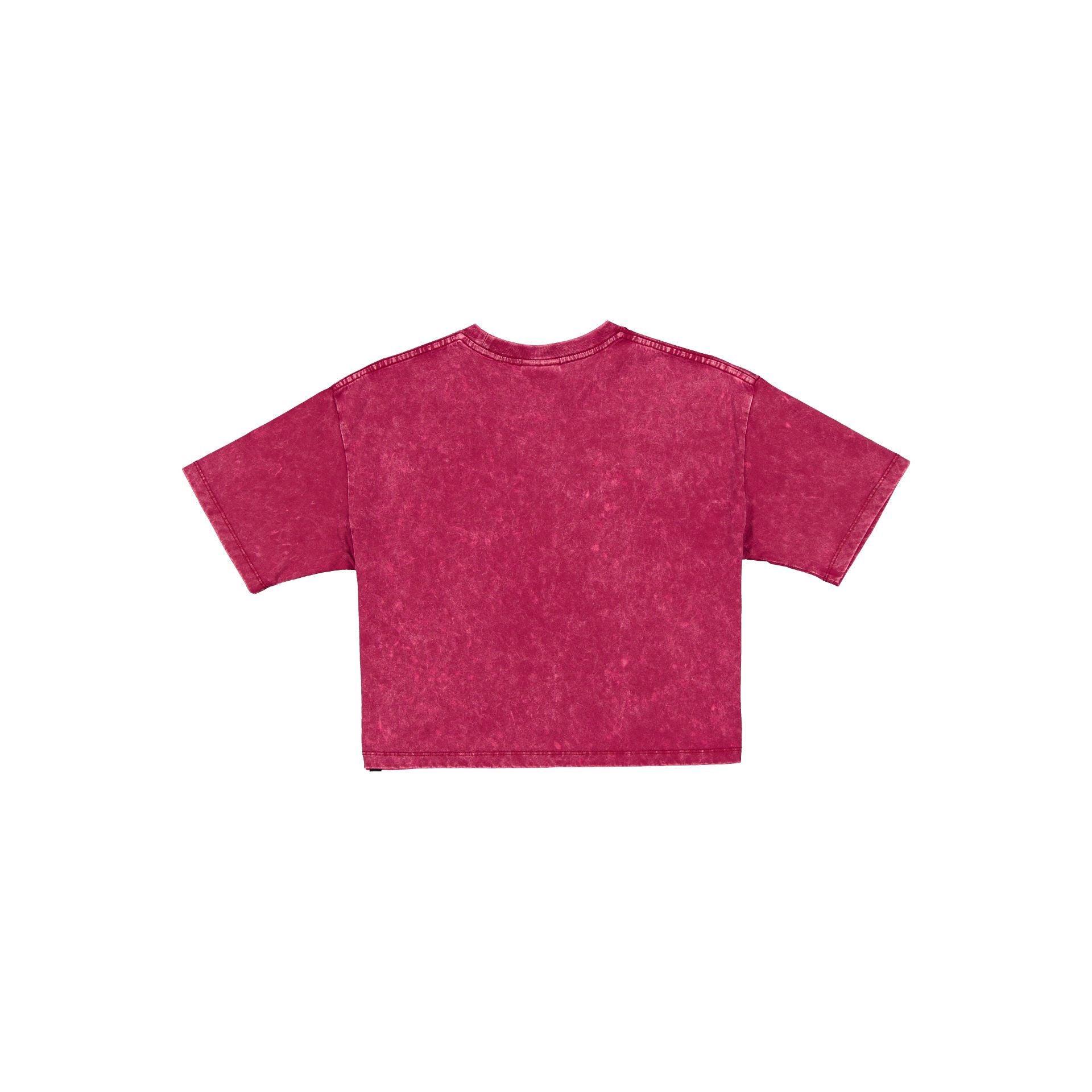 Pittsburgh Steelers Sport Classics Women's Cropped T-Shirt Female Product Image