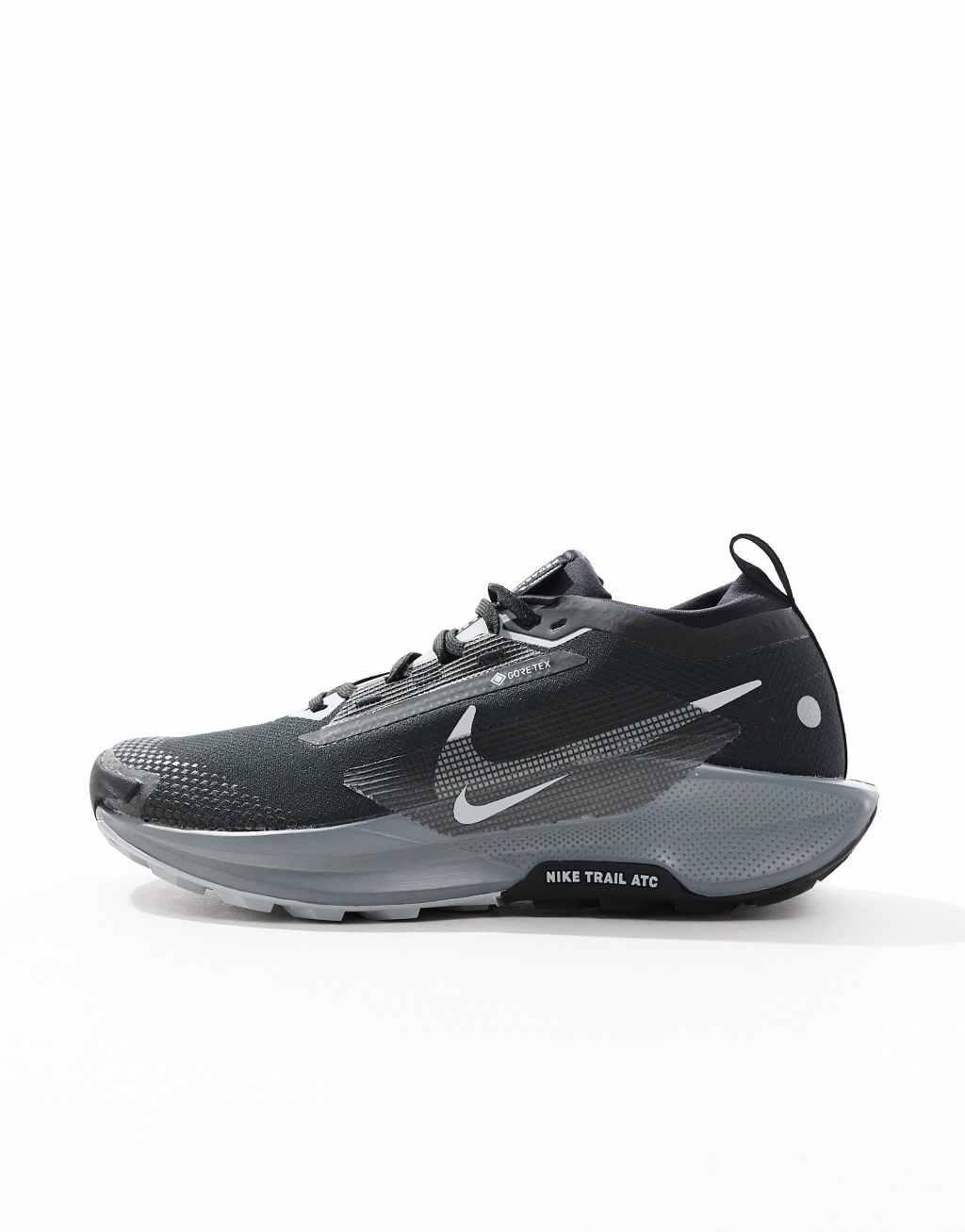 Nike Running Pegasus Trail 5 GORE-TEX sneakers in black Product Image