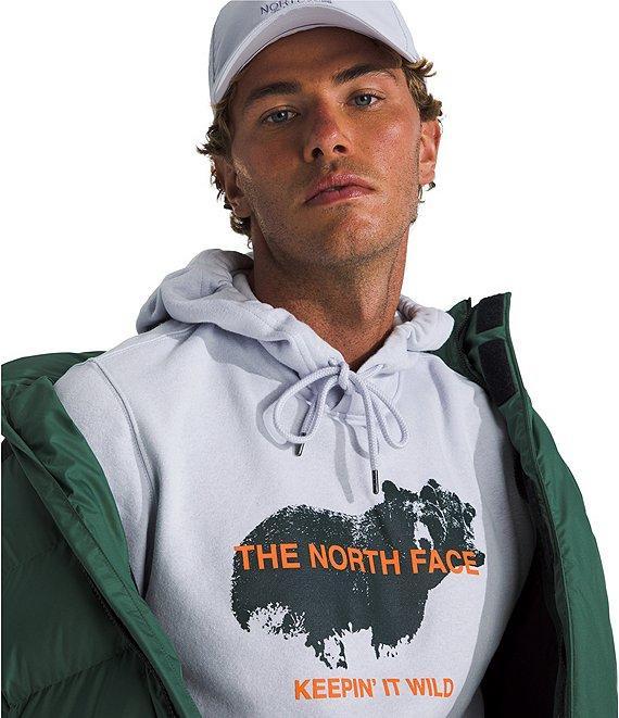 The North Face Animals We Love Bear Graphic Hoodie Product Image