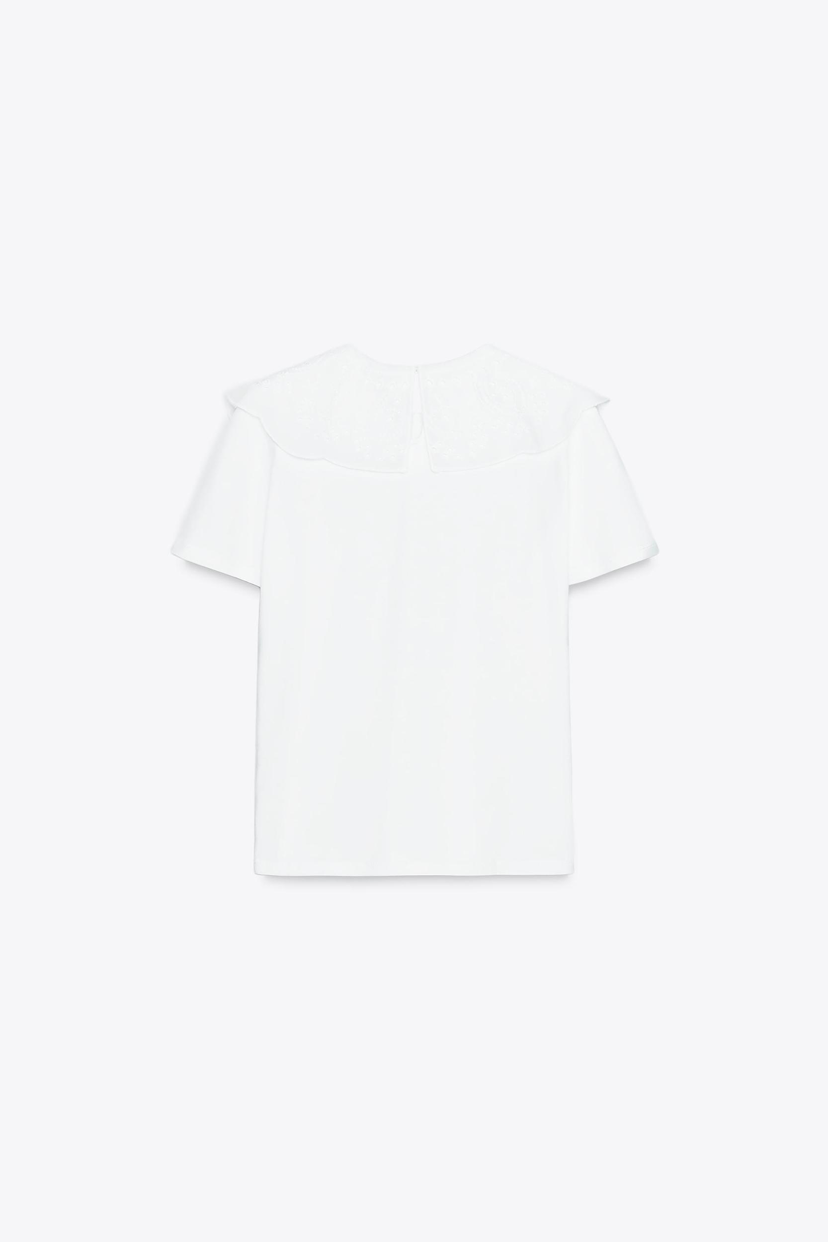 EMBROIDERED PETER PAN COLLAR T-SHIRT Product Image