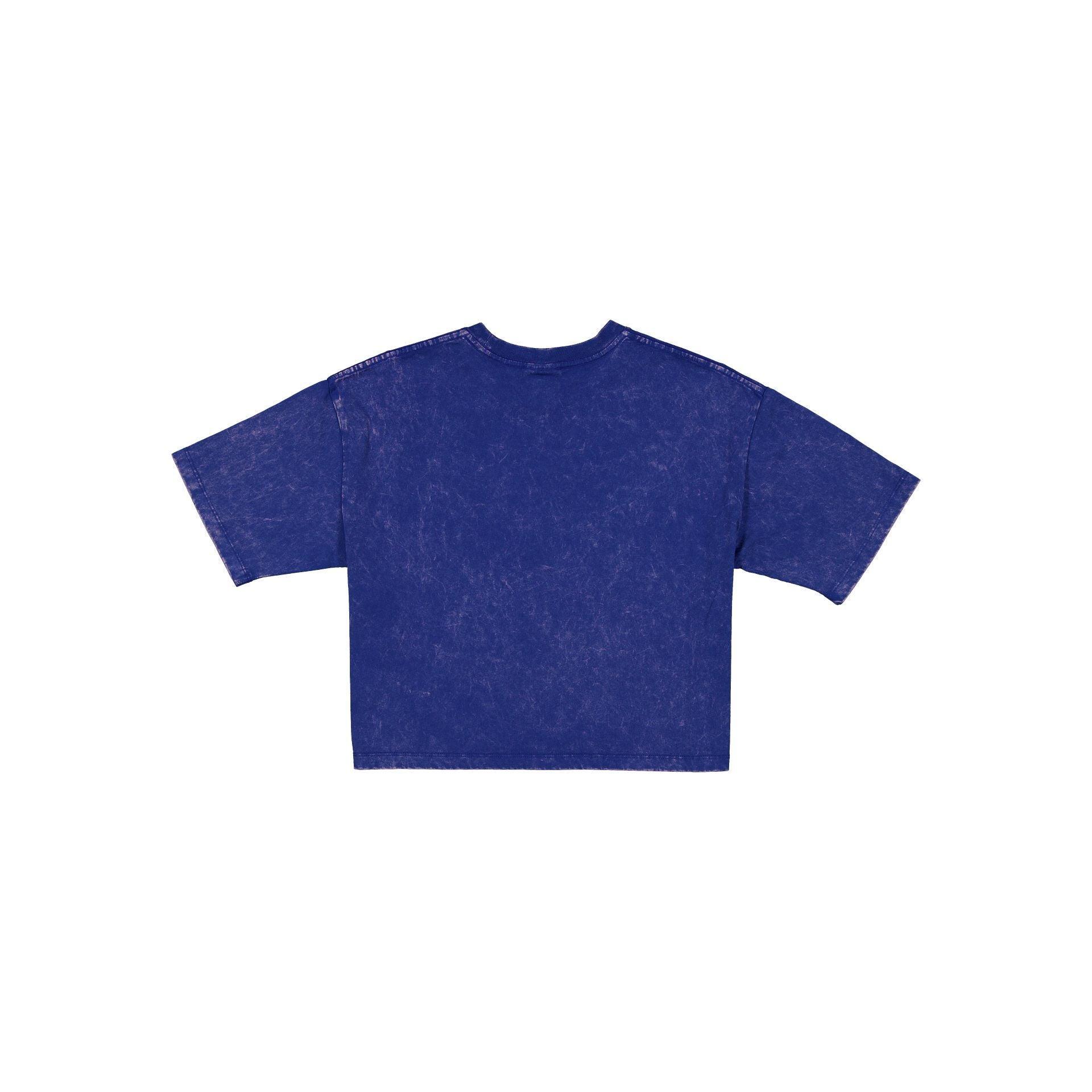 Pittsburgh Steelers Sport Classics Women's Cropped T-Shirt Female Product Image