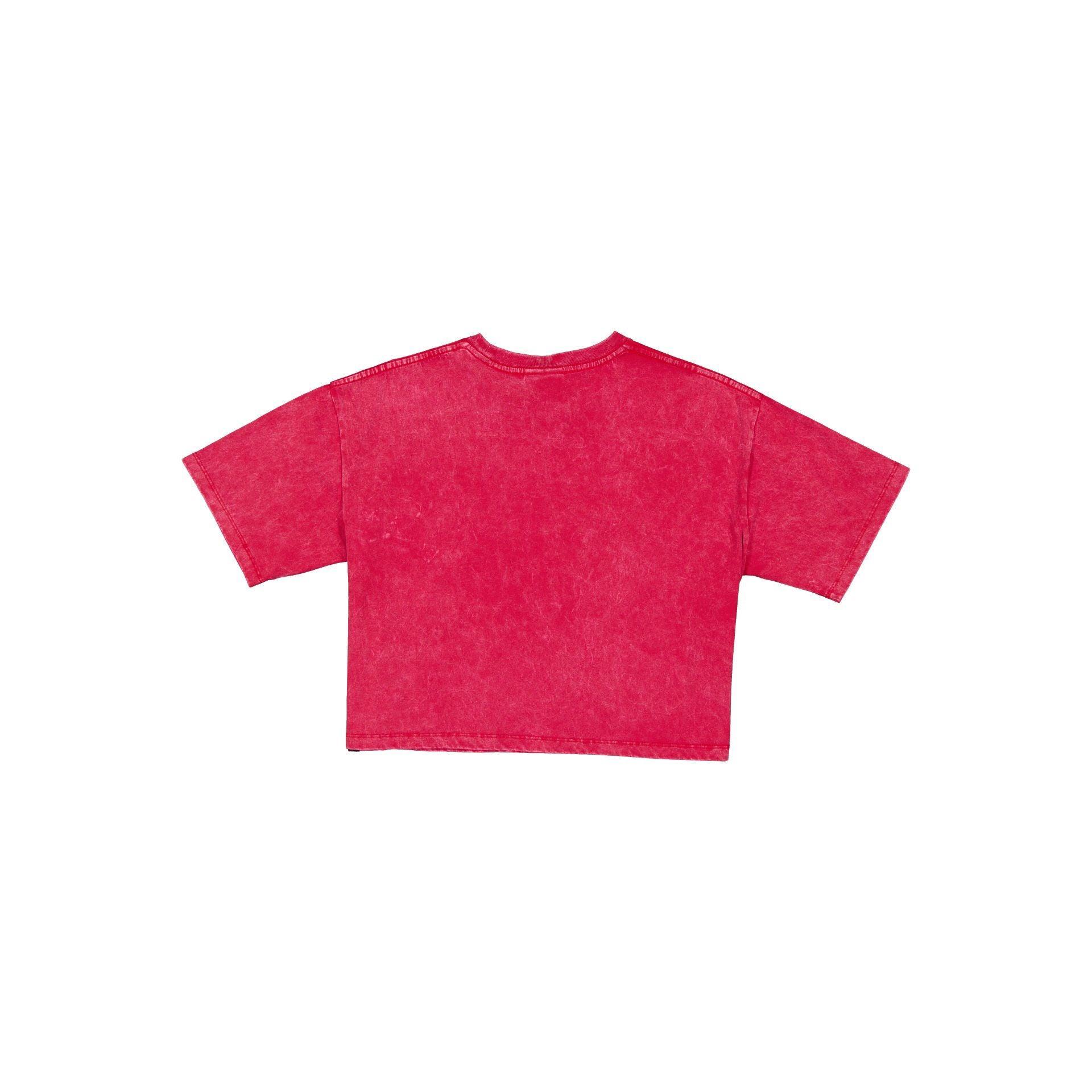 Pittsburgh Steelers Sport Classics Women's Cropped T-Shirt Female Product Image