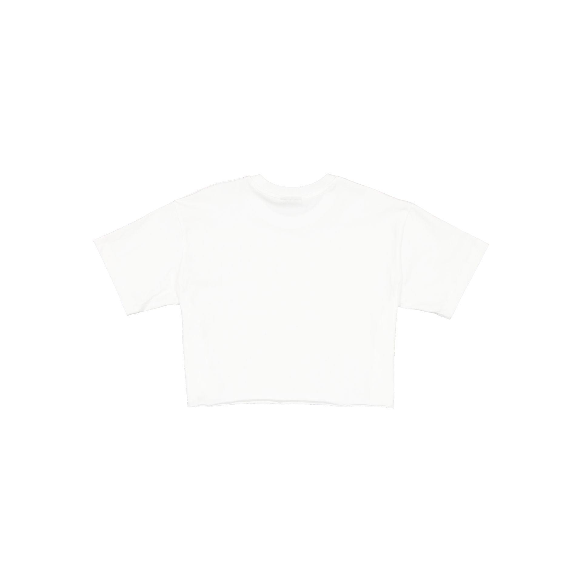 Sacramento Kings Throwback Prep Women's Cropped T-Shirt Female Product Image