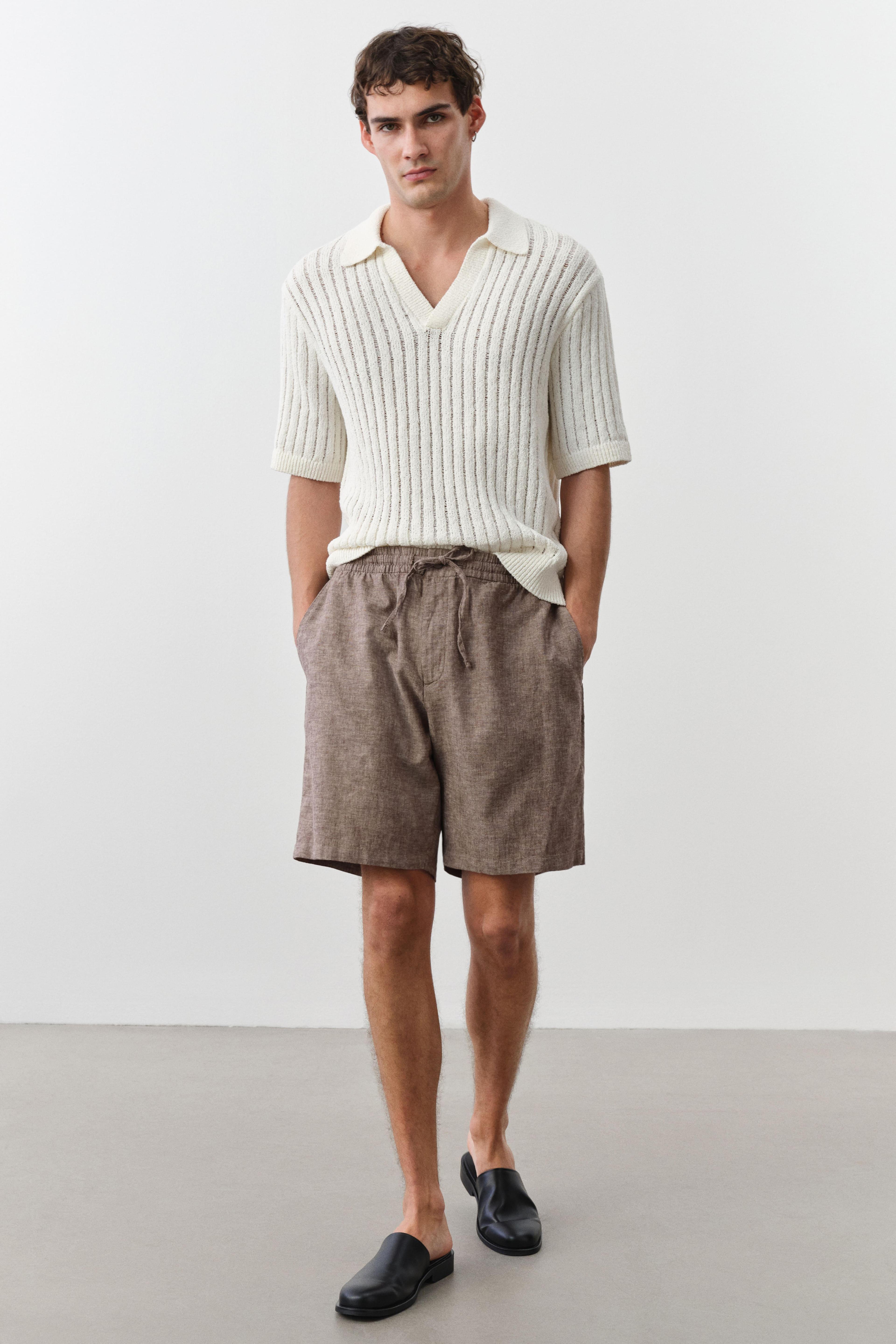 Regular Fit Linen-Blend Shorts Product Image